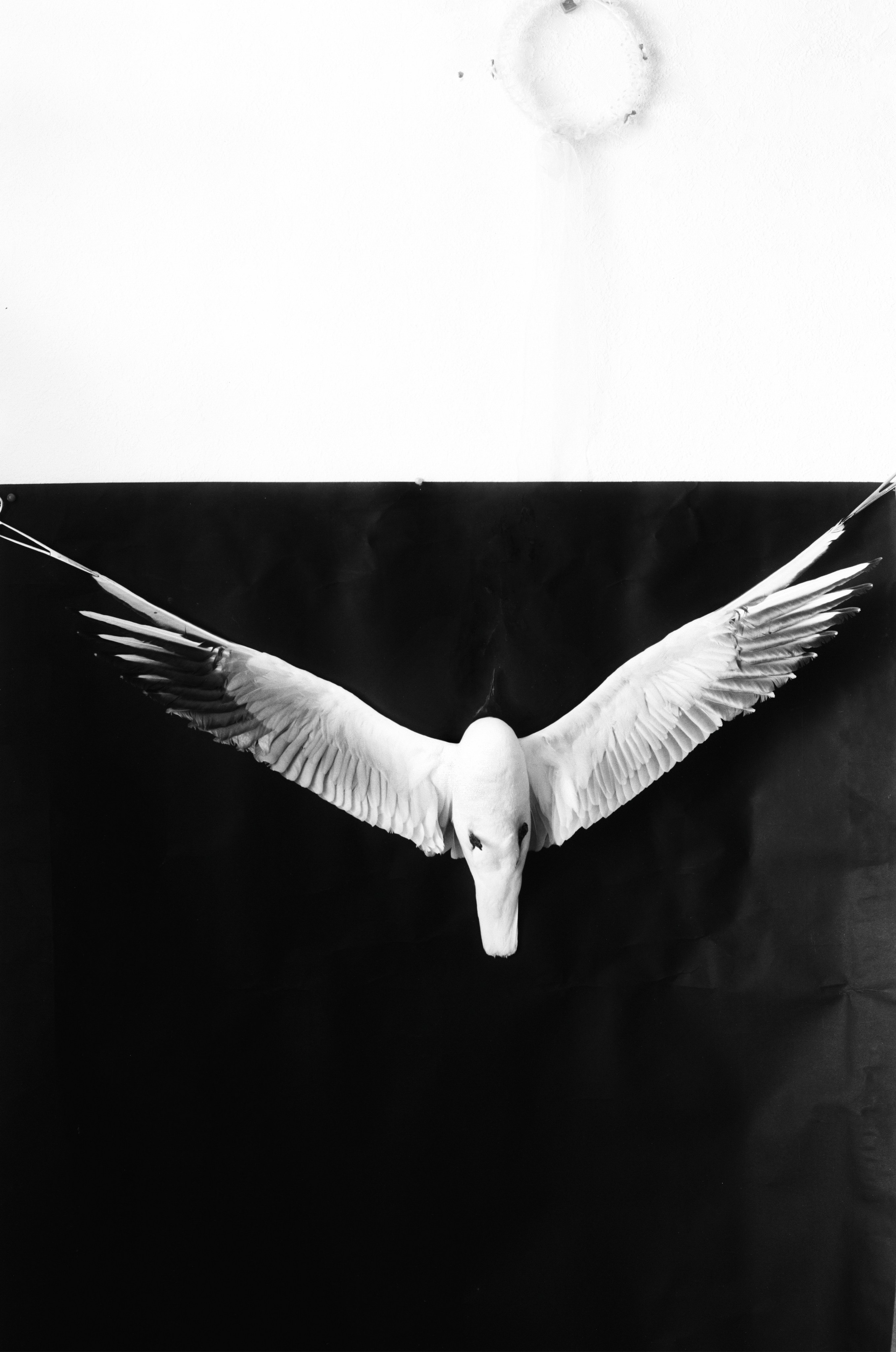 Иконическое. Избранное. Бесценное. Punctum