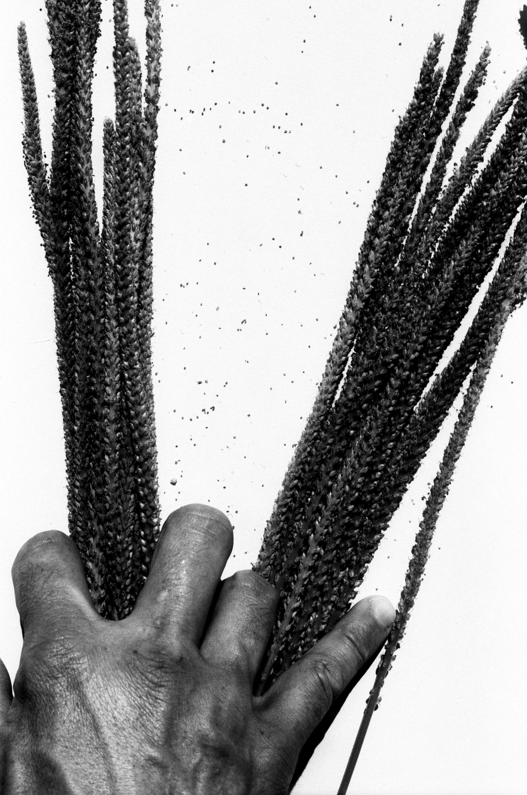 Иконическое. Избранное. Бесценное. Punctum