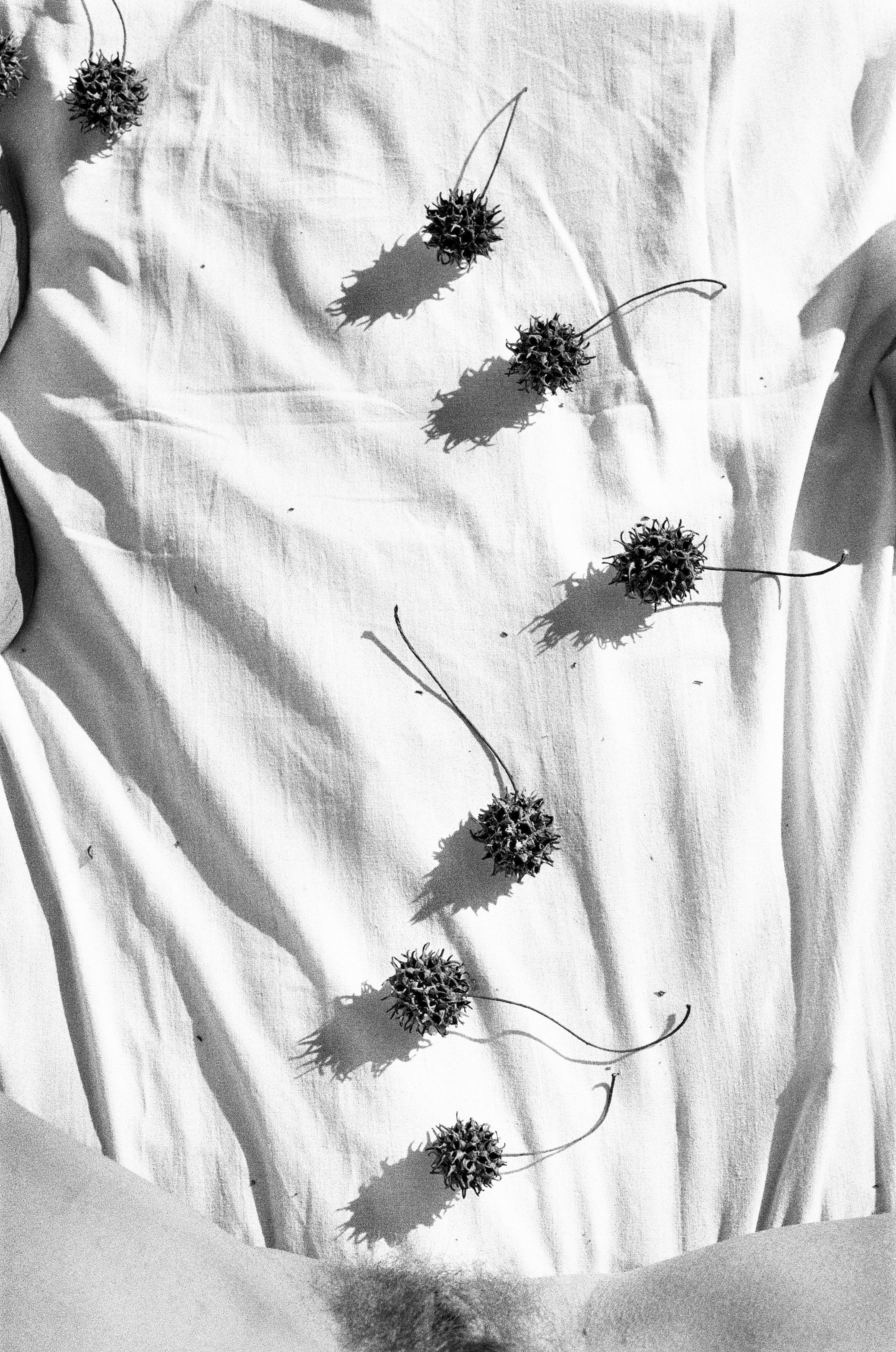 Иконическое. Избранное. Бесценное. Punctum
