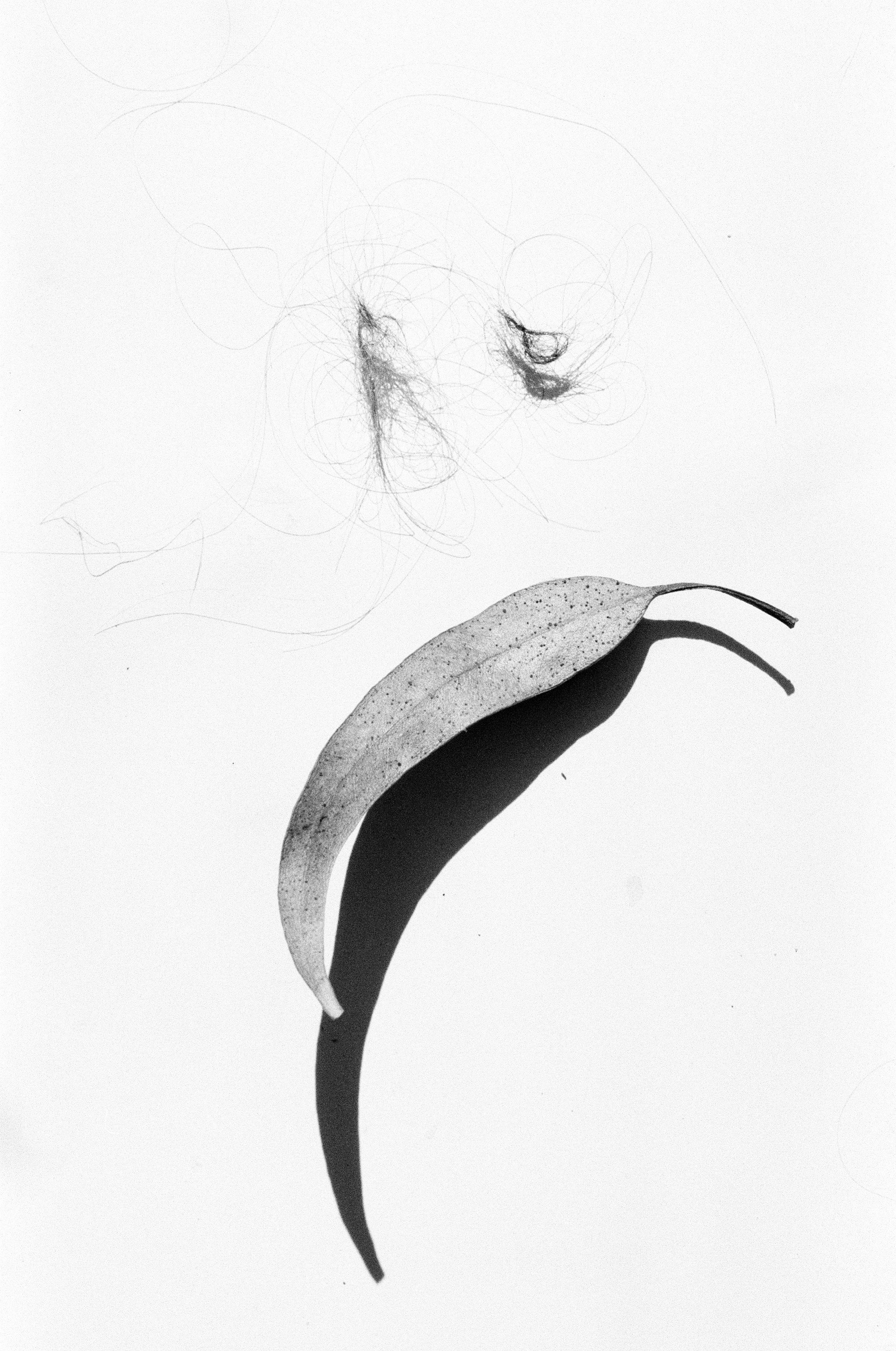 Иконическое. Избранное. Бесценное. Punctum