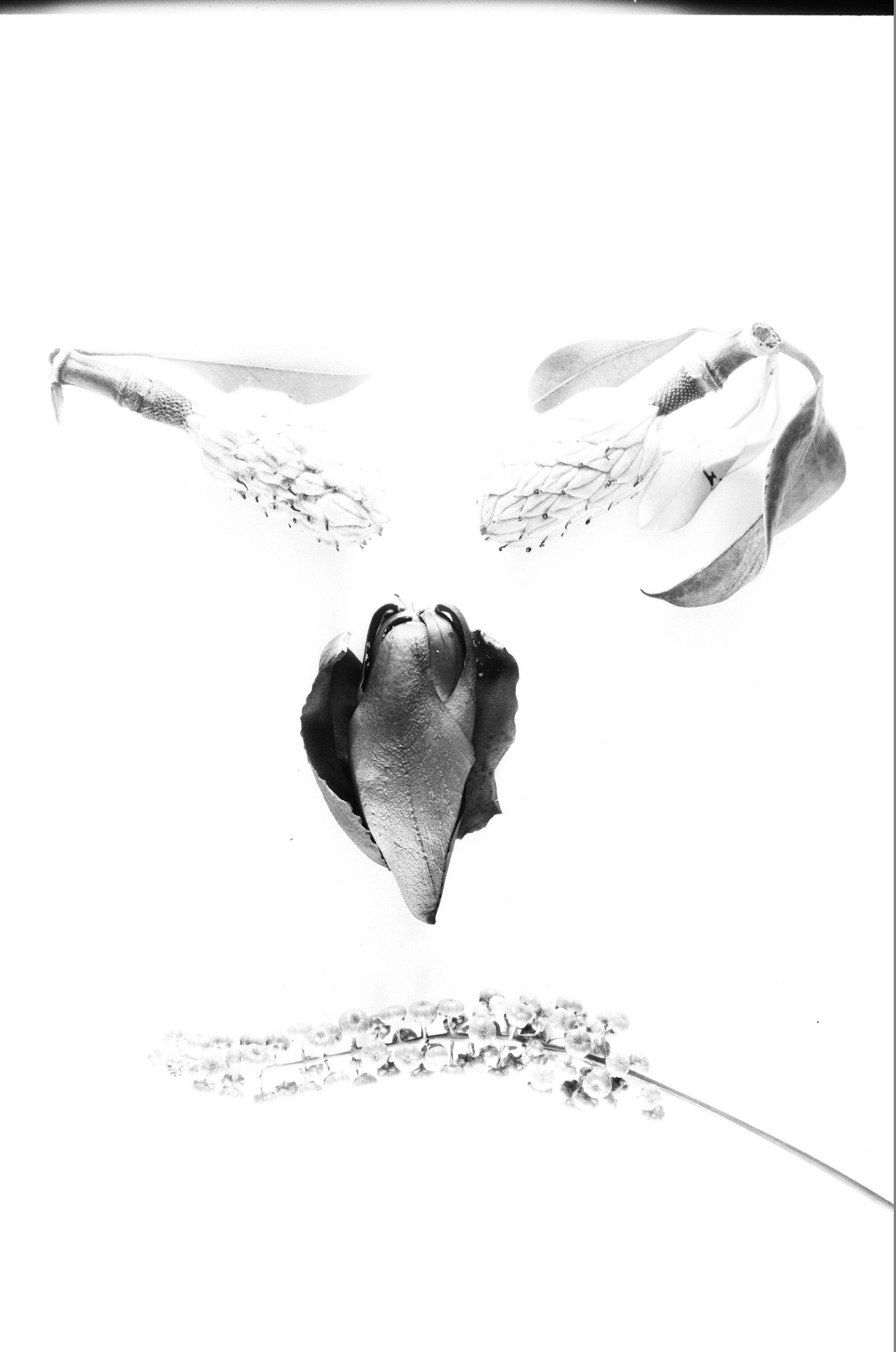 Иконическое. Избранное. Бесценное. Punctum