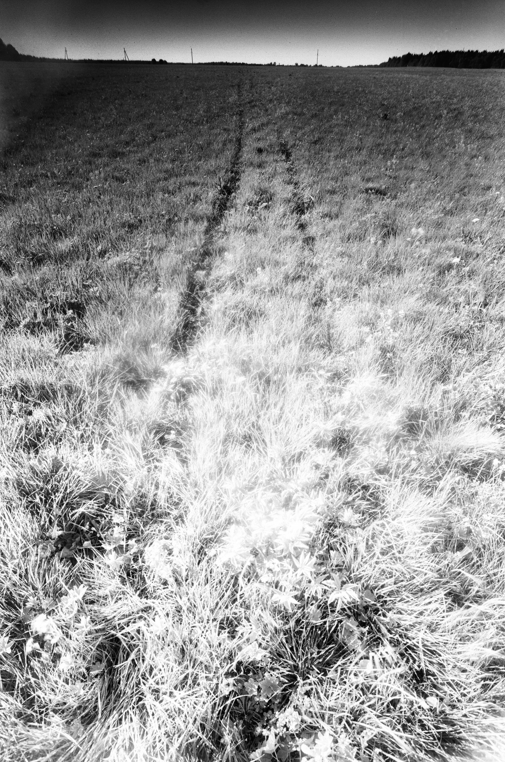 Иконическое. Избранное. Бесценное. Punctum