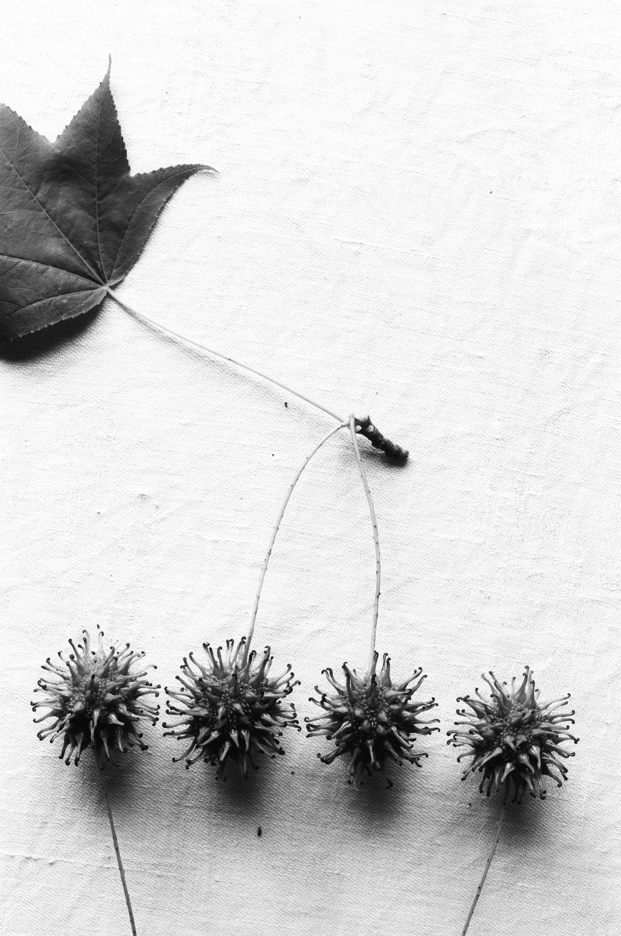Иконическое. Избранное. Бесценное. Punctum