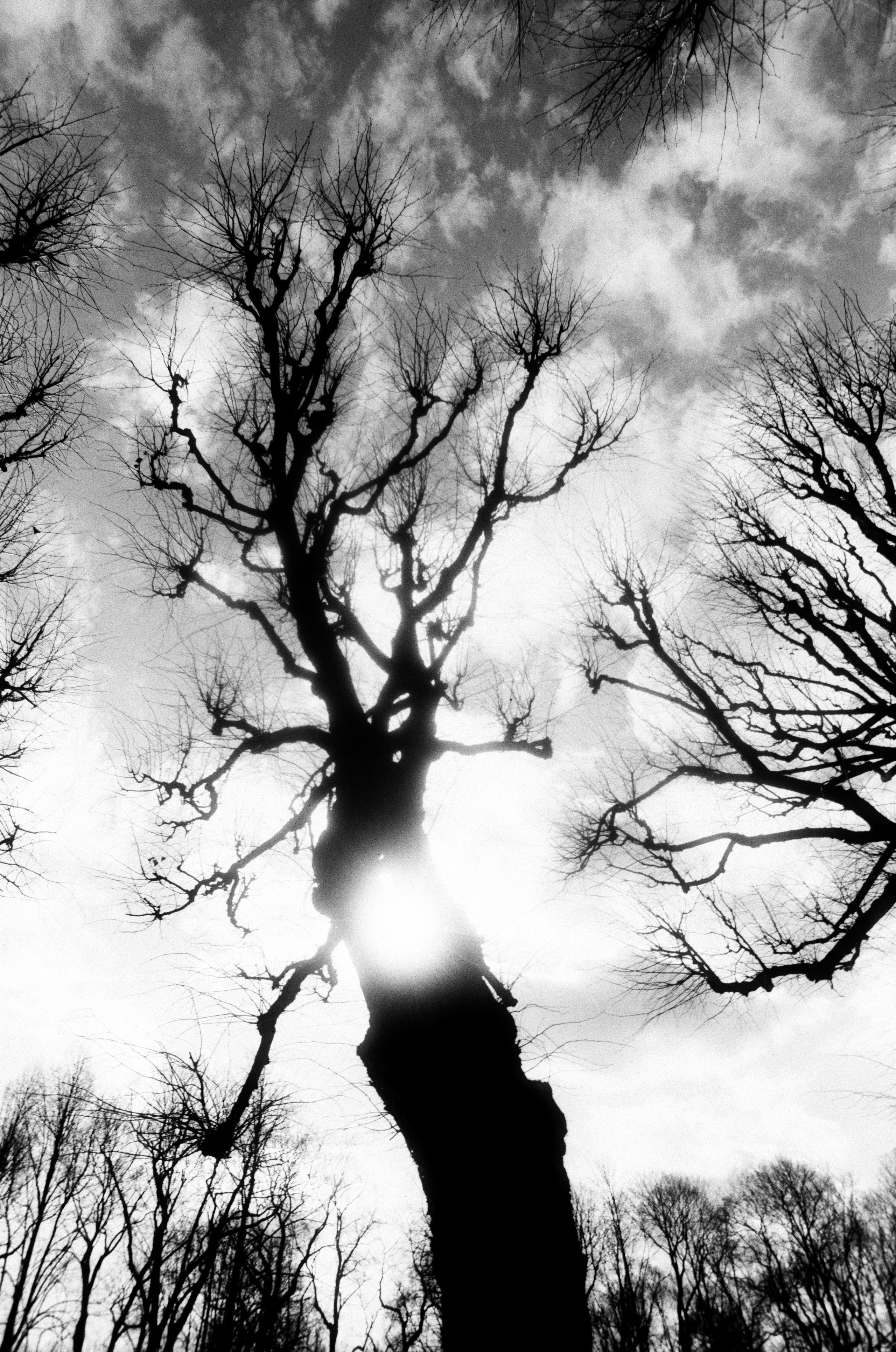 Иконическое. Избранное. Бесценное. Punctum