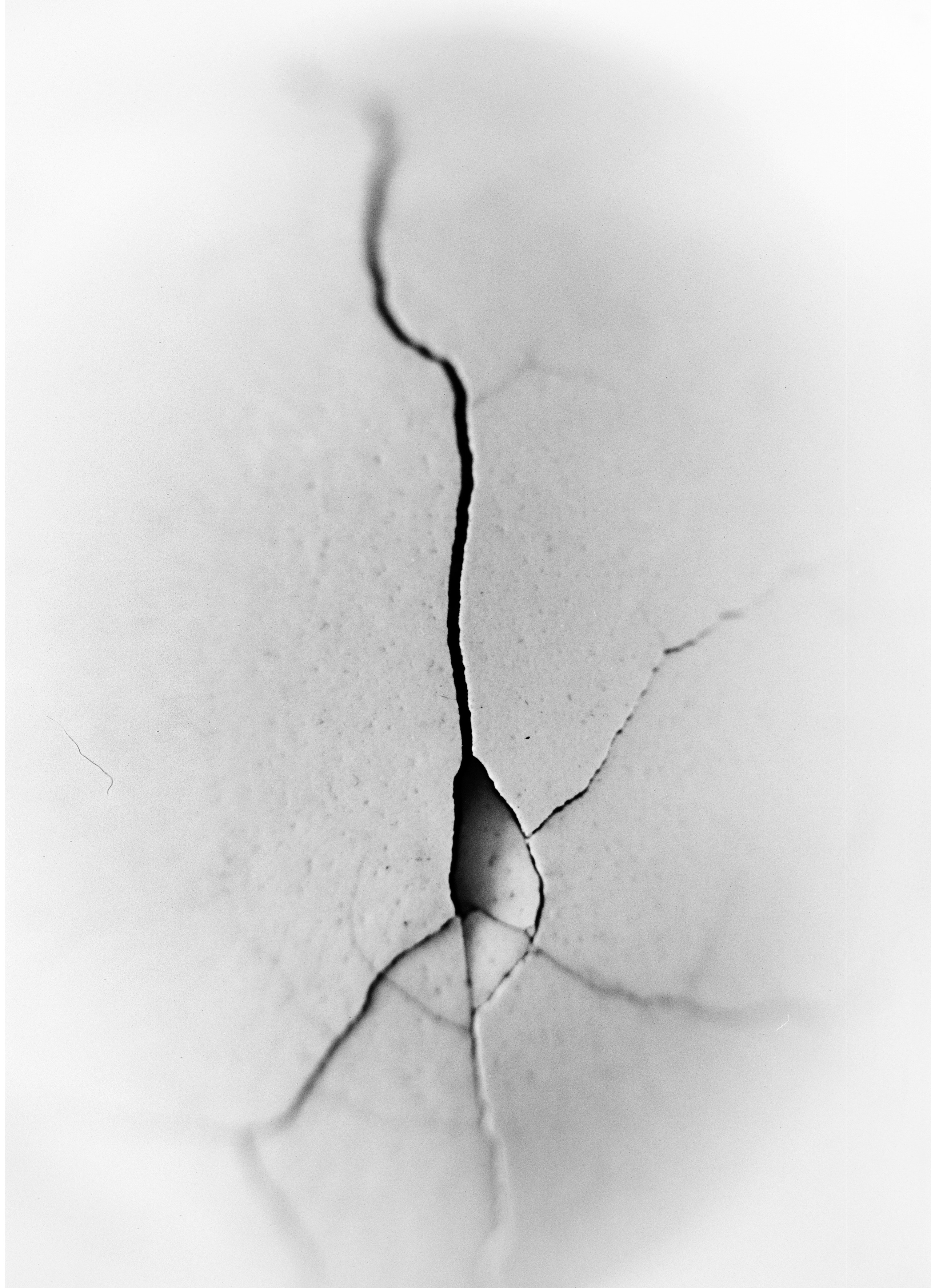 Иконическое. Избранное. Бесценное. Punctum