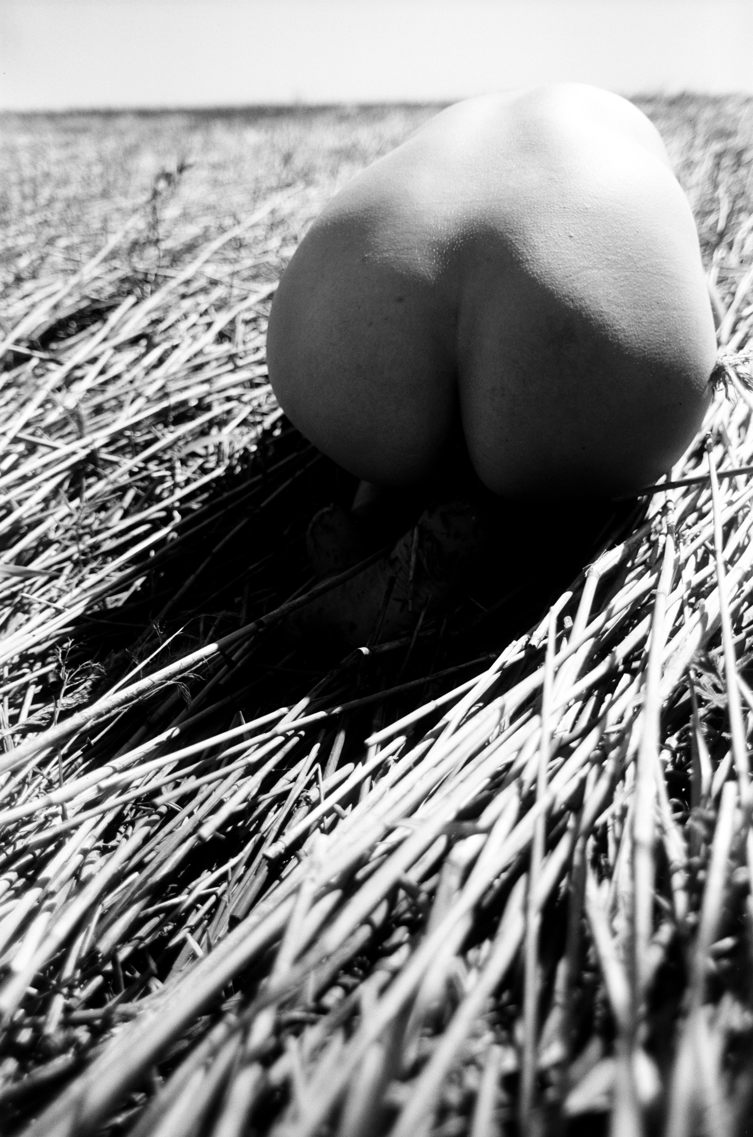 Иконическое. Избранное. Бесценное. Punctum