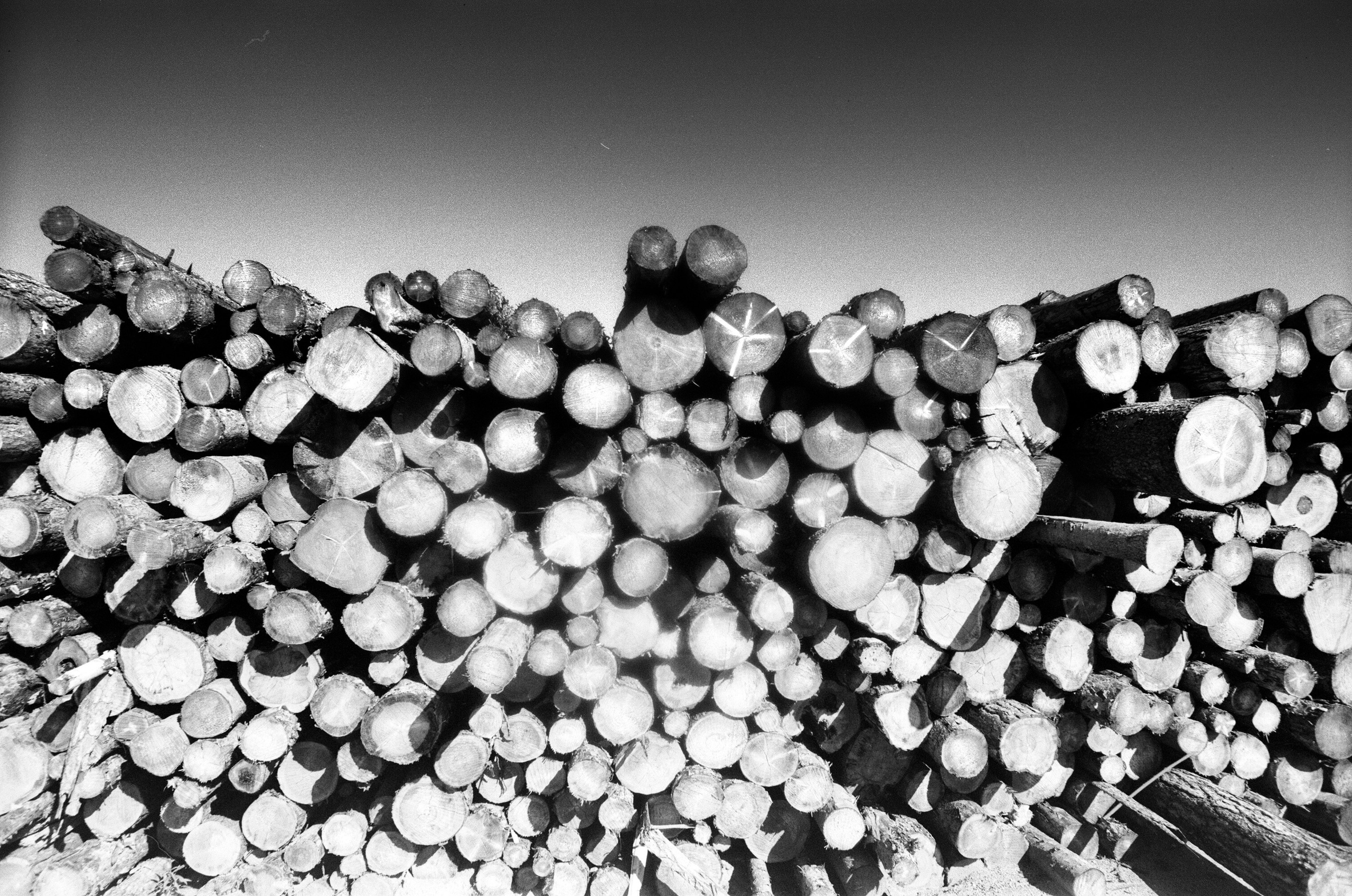 Иконическое. Избранное. Бесценное. Punctum