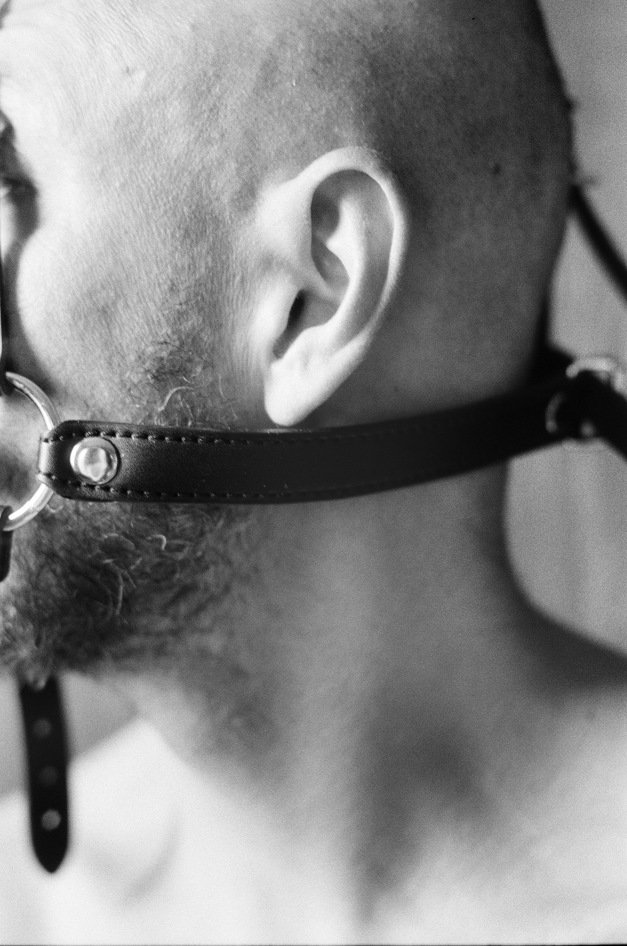 Иконическое. Избранное. Бесценное. Punctum