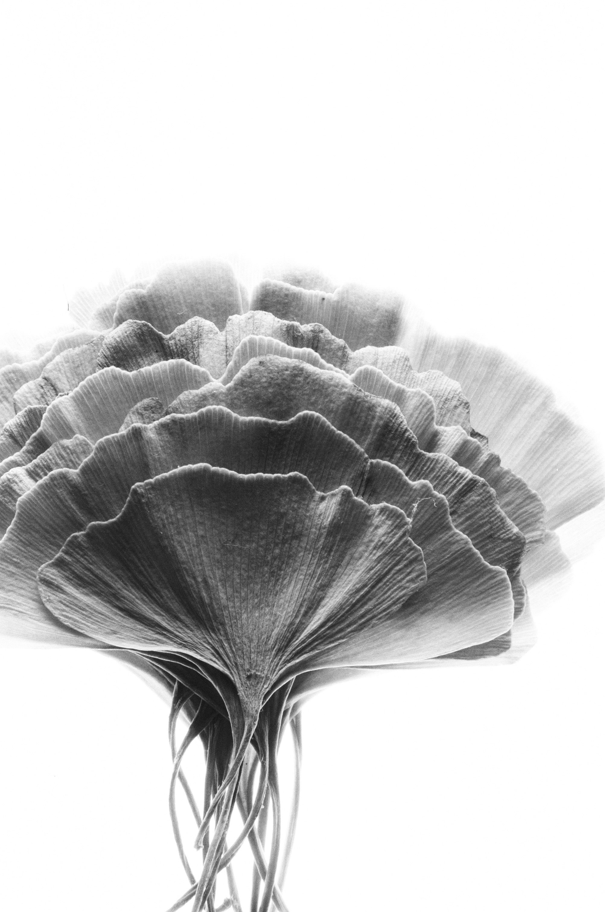 Иконическое. Избранное. Бесценное. Punctum