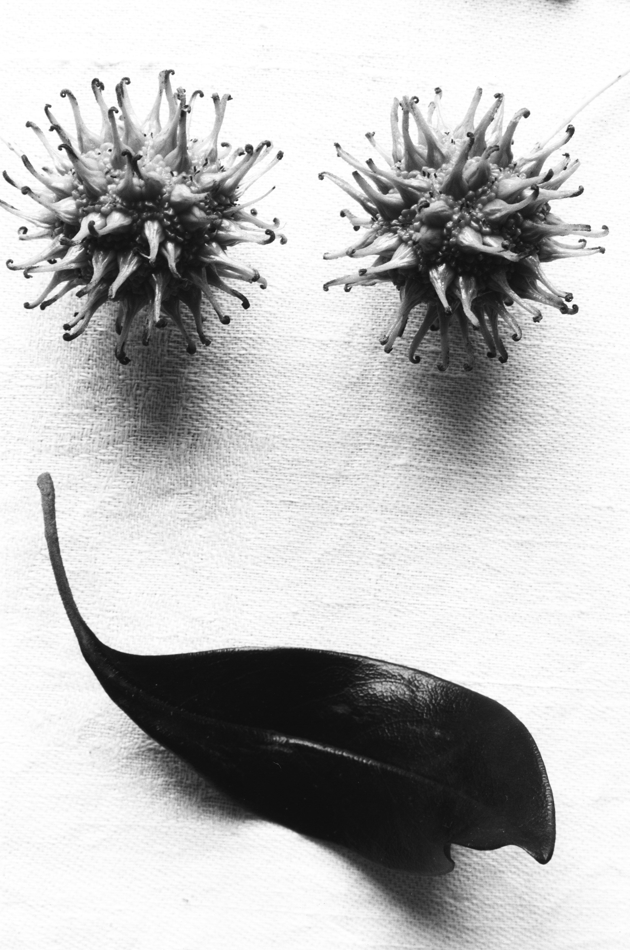 Иконическое. Избранное. Бесценное. Punctum