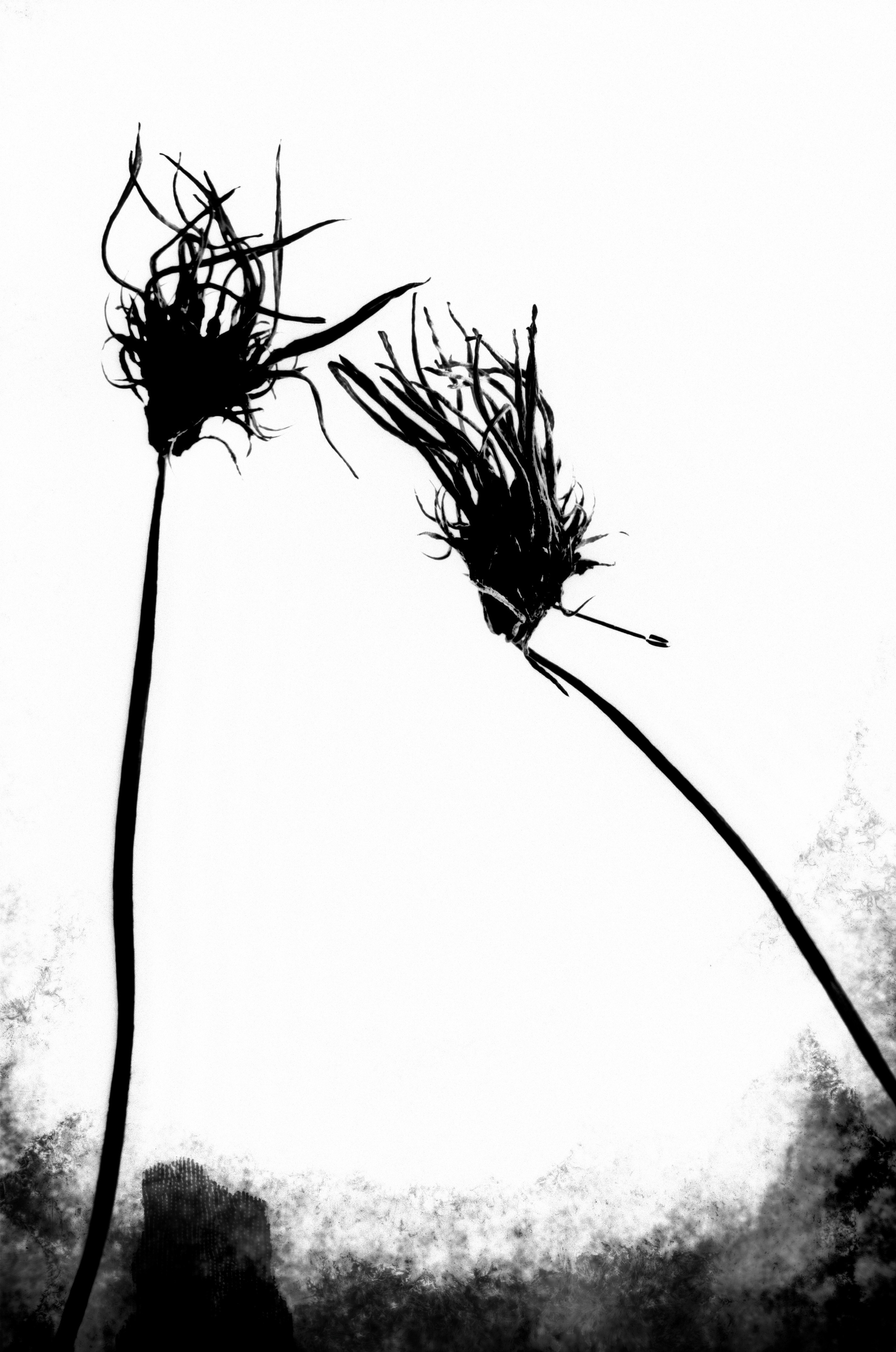 Иконическое. Избранное. Бесценное. Punctum
