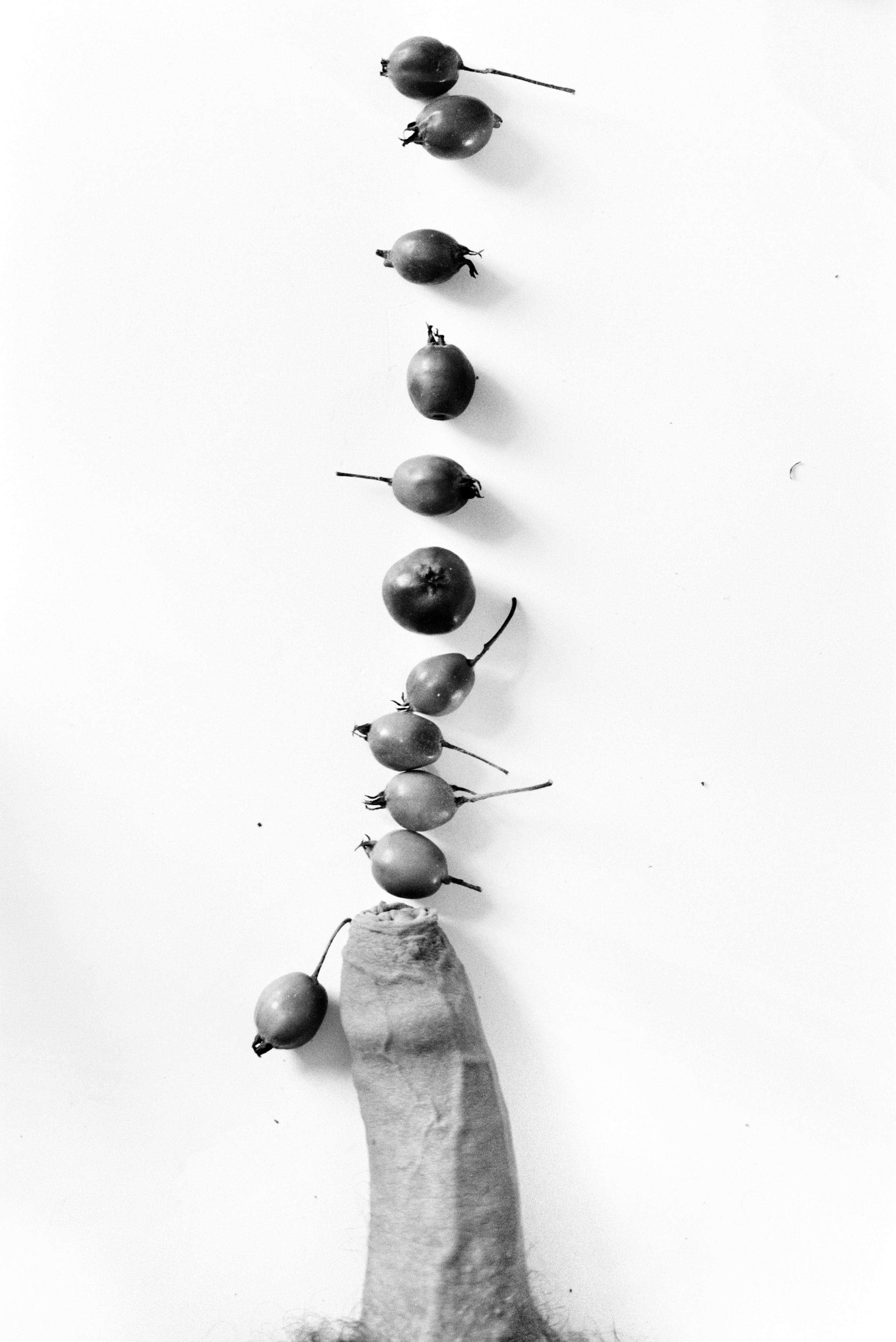 Иконическое. Избранное. Бесценное. Punctum