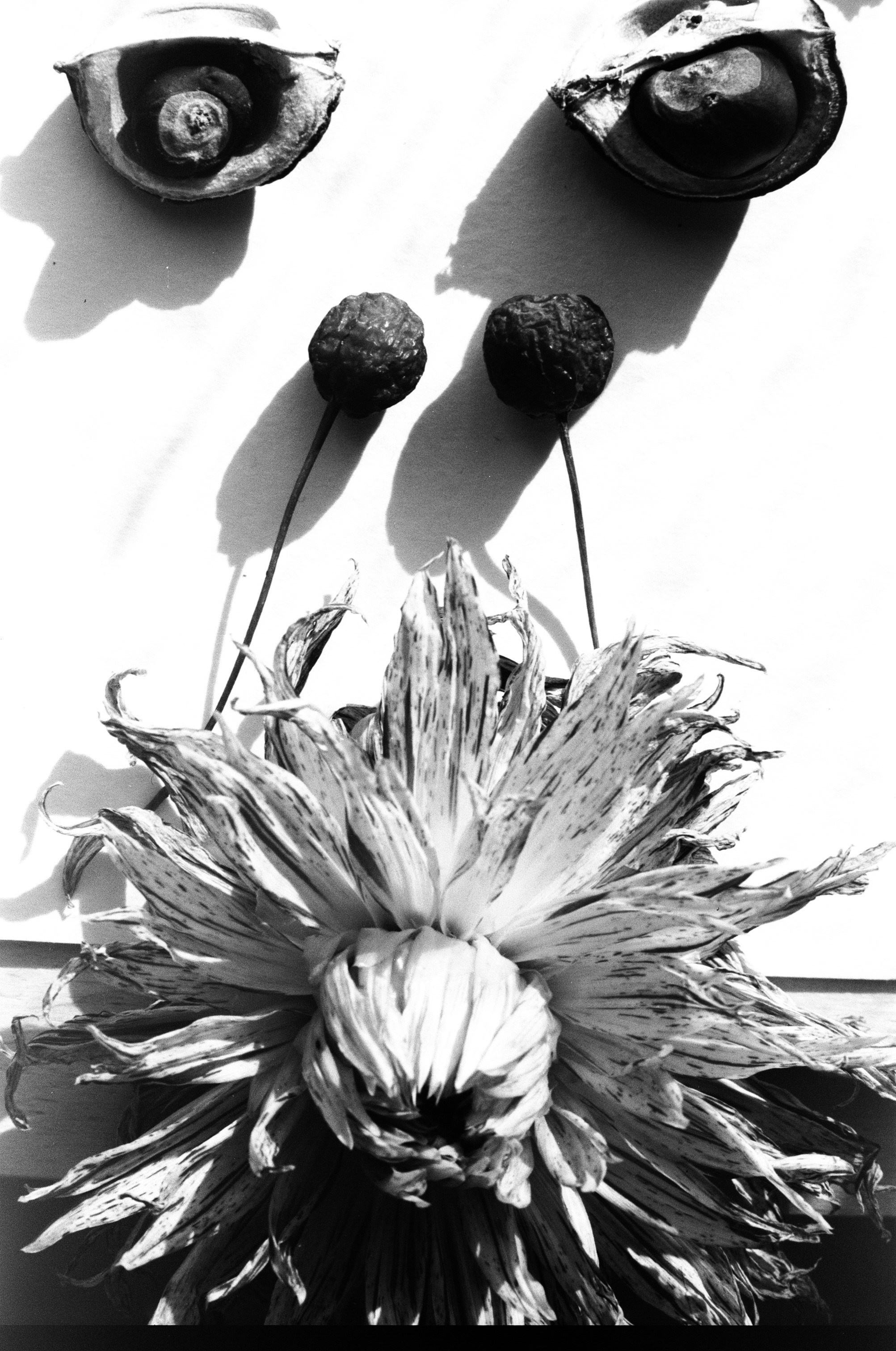Иконическое. Избранное. Бесценное. Punctum