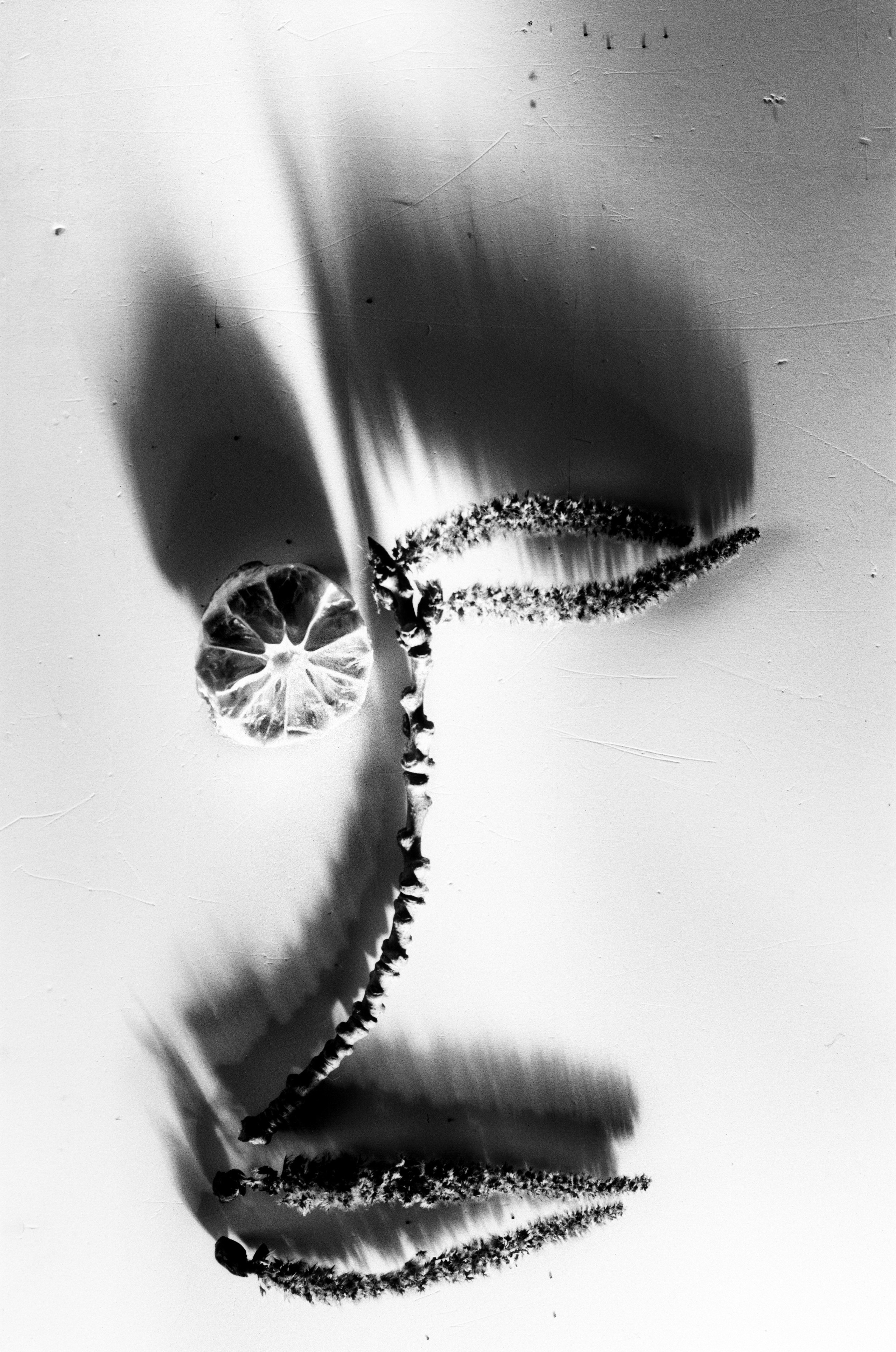 Иконическое. Избранное. Бесценное. Punctum