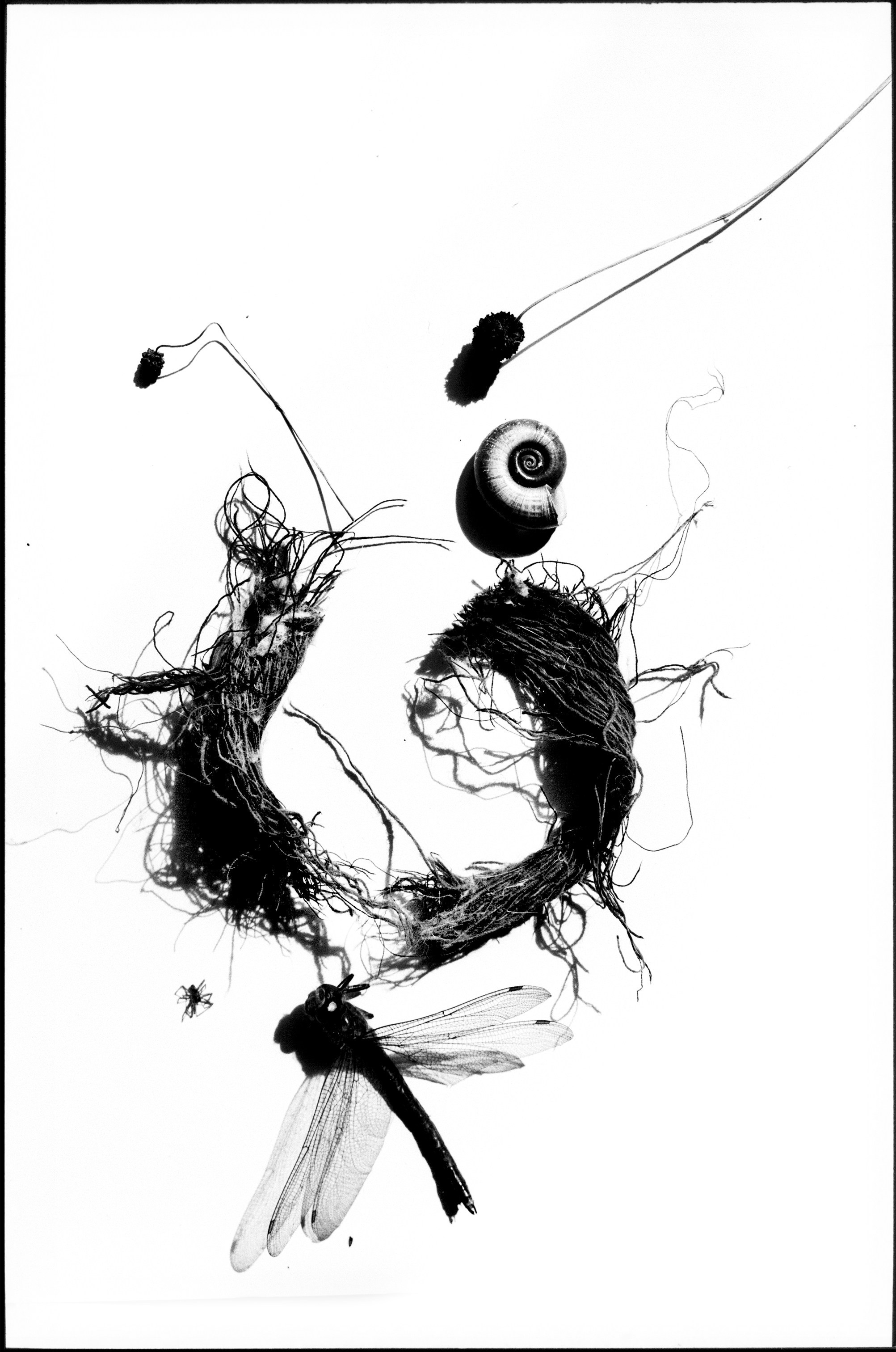 Иконическое. Избранное. Бесценное. Punctum
