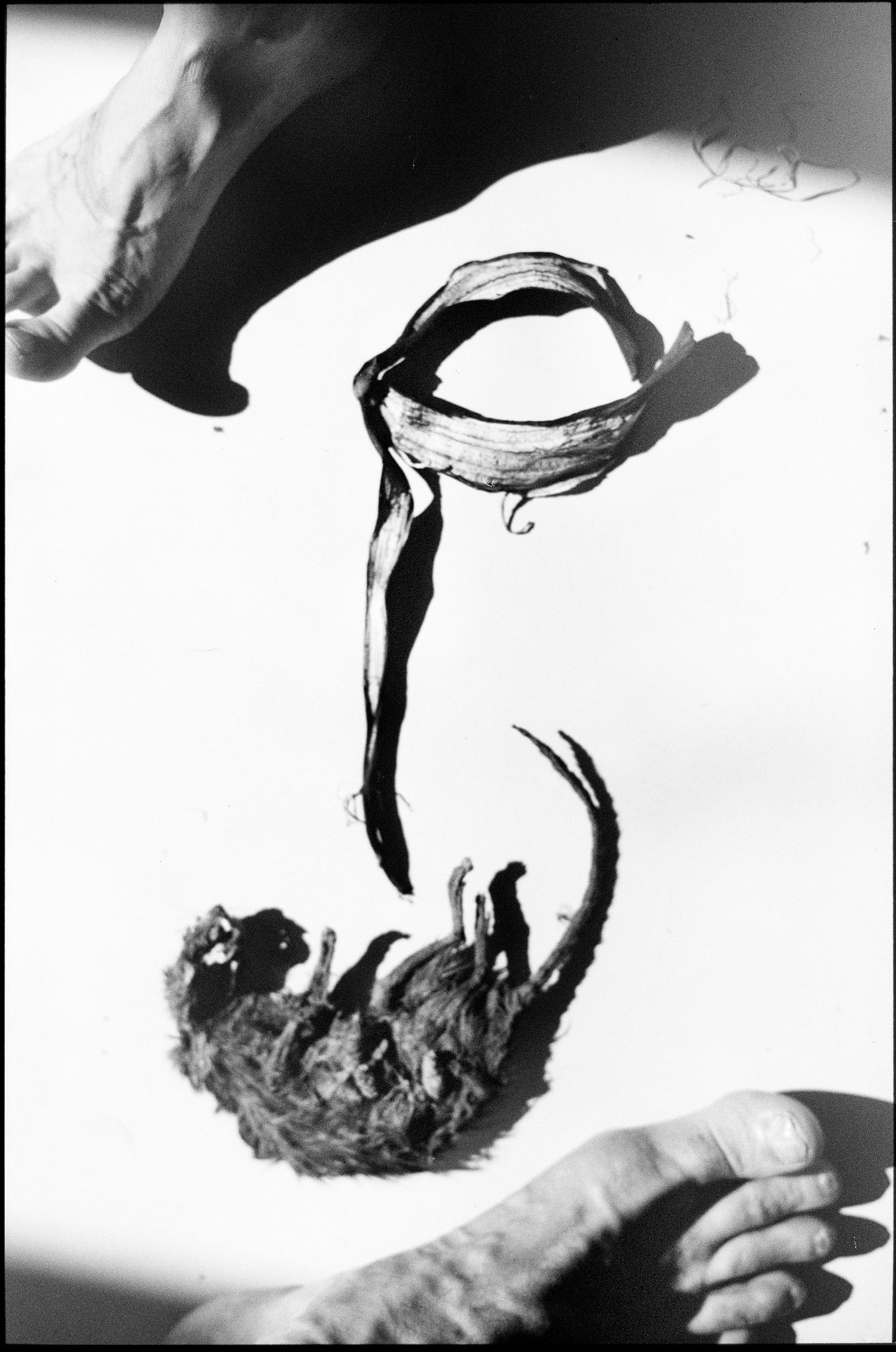 Иконическое. Избранное. Бесценное. Punctum