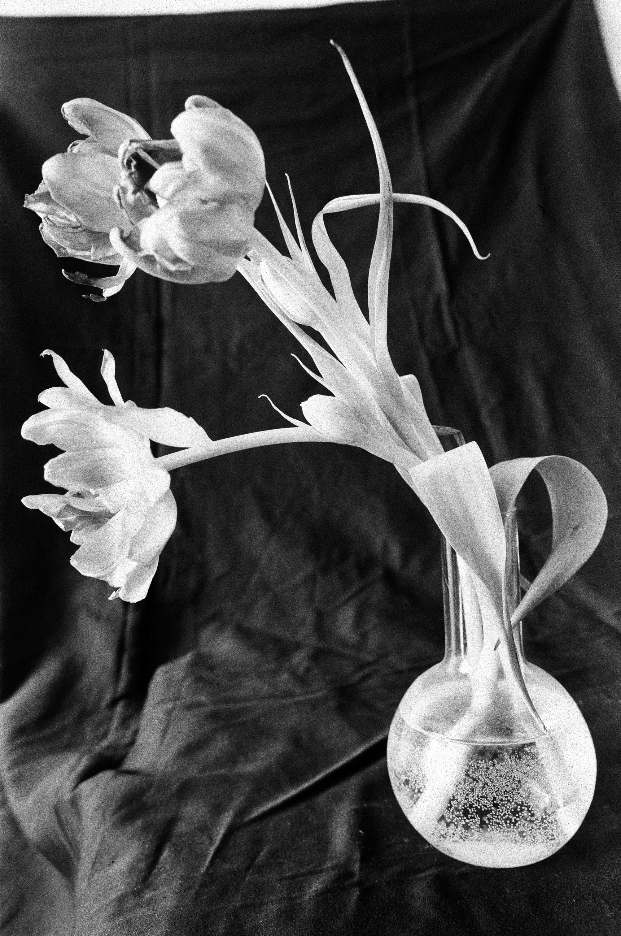 Иконическое. Избранное. Бесценное. Punctum