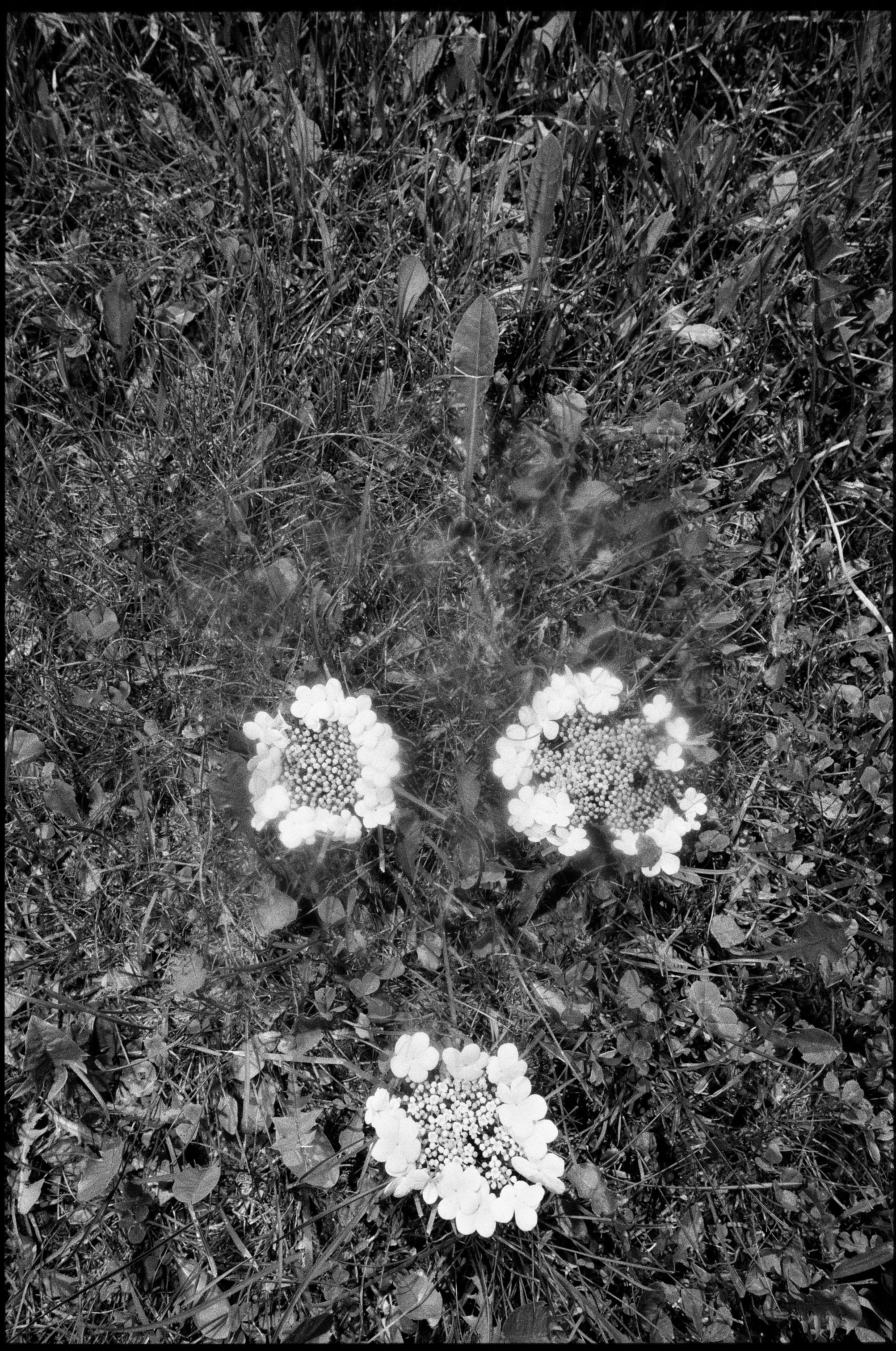 Иконическое. Избранное. Бесценное. Punctum