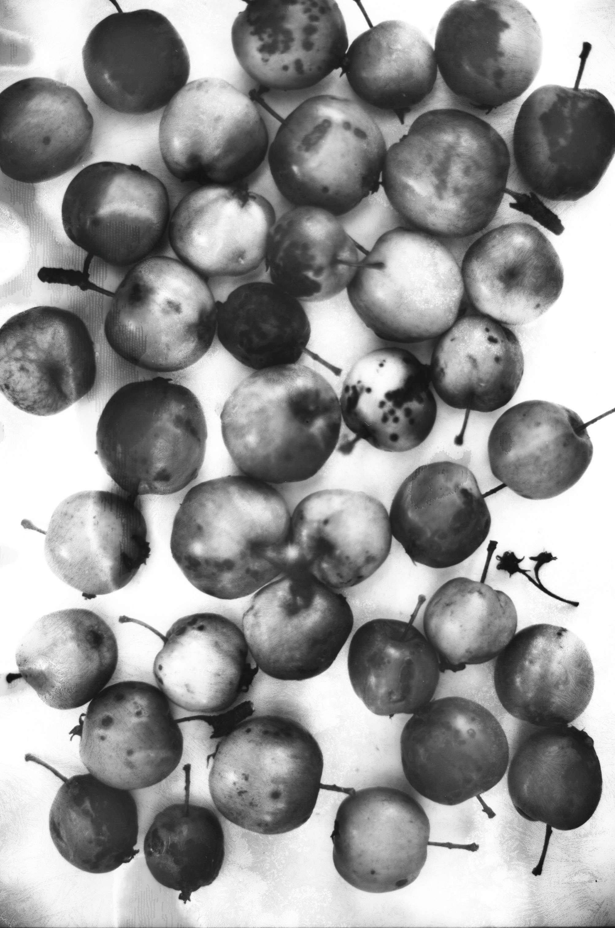 Иконическое. Избранное. Бесценное. Punctum