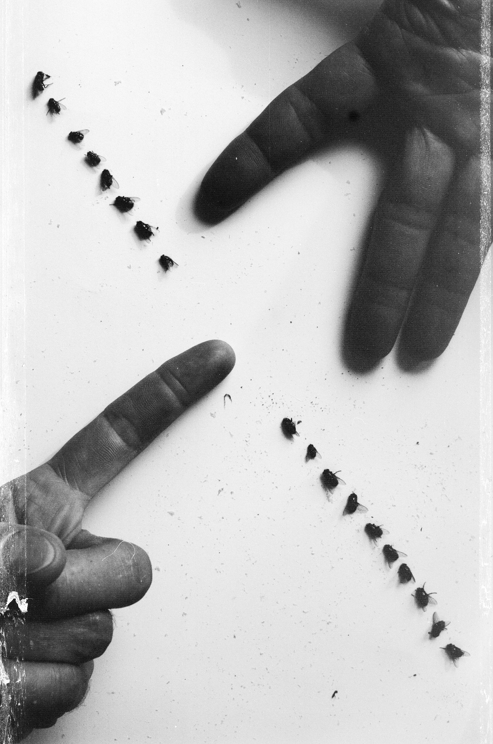Иконическое. Избранное. Бесценное. Punctum