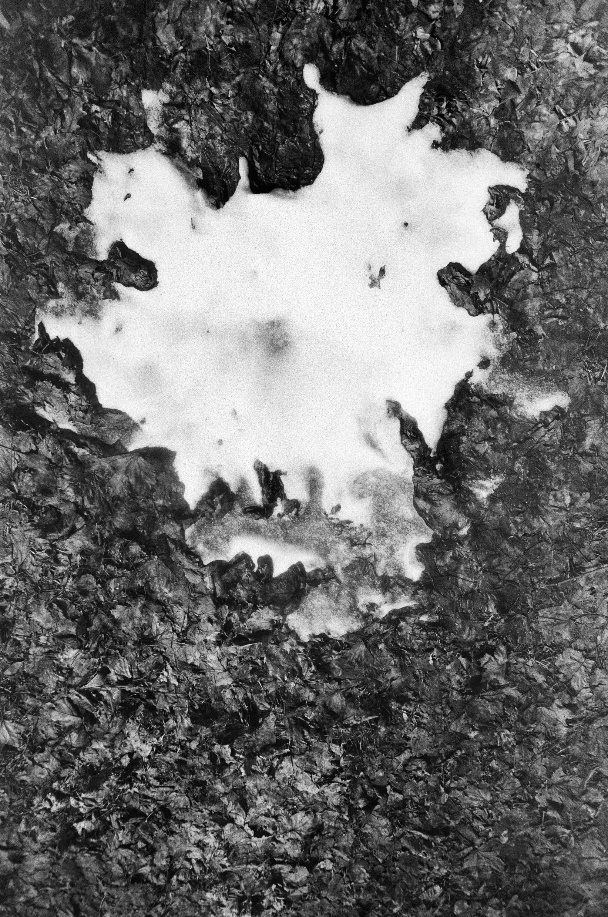 Иконическое. Избранное. Бесценное. Punctum