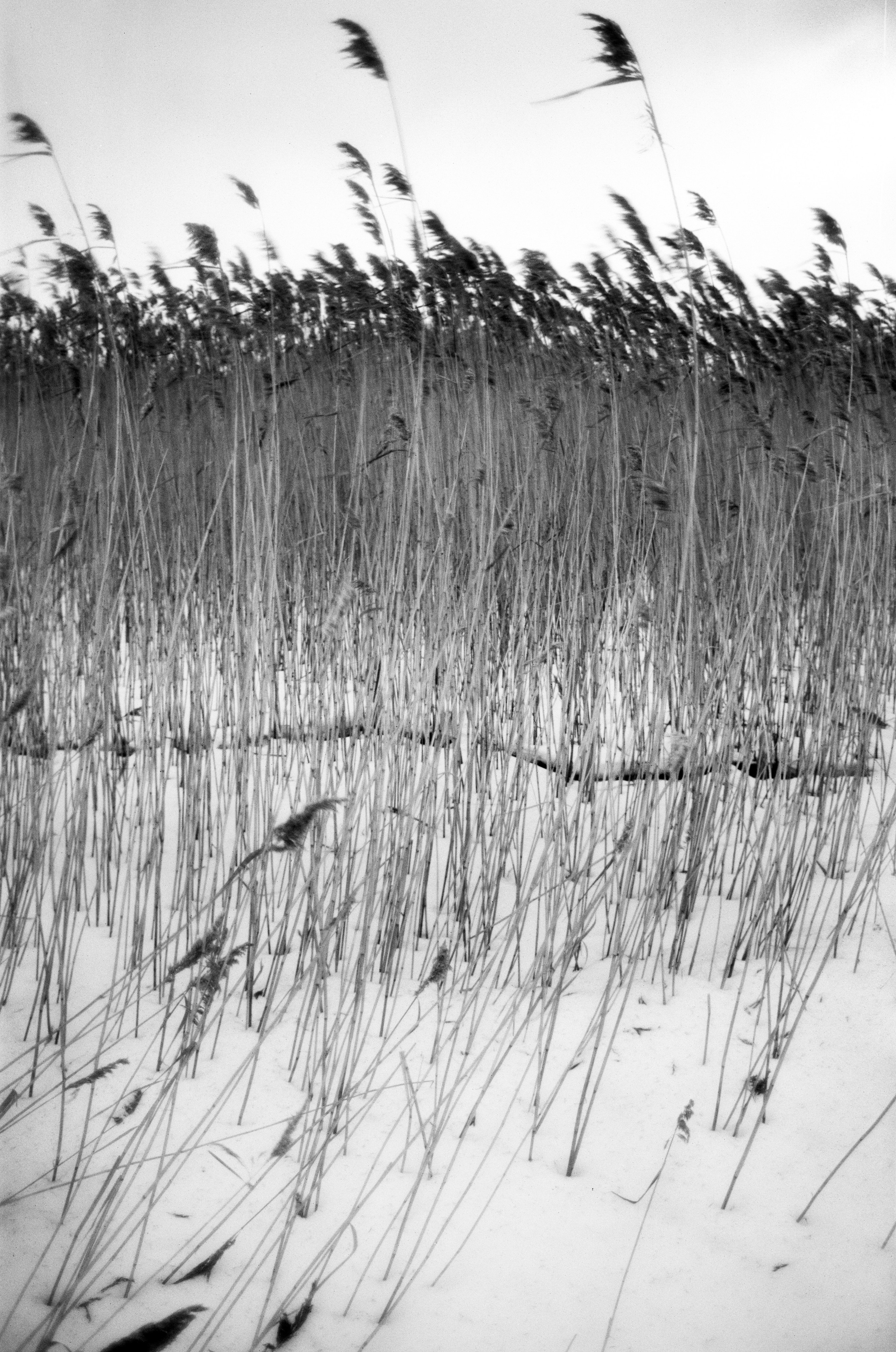 Иконическое. Избранное. Бесценное. Punctum
