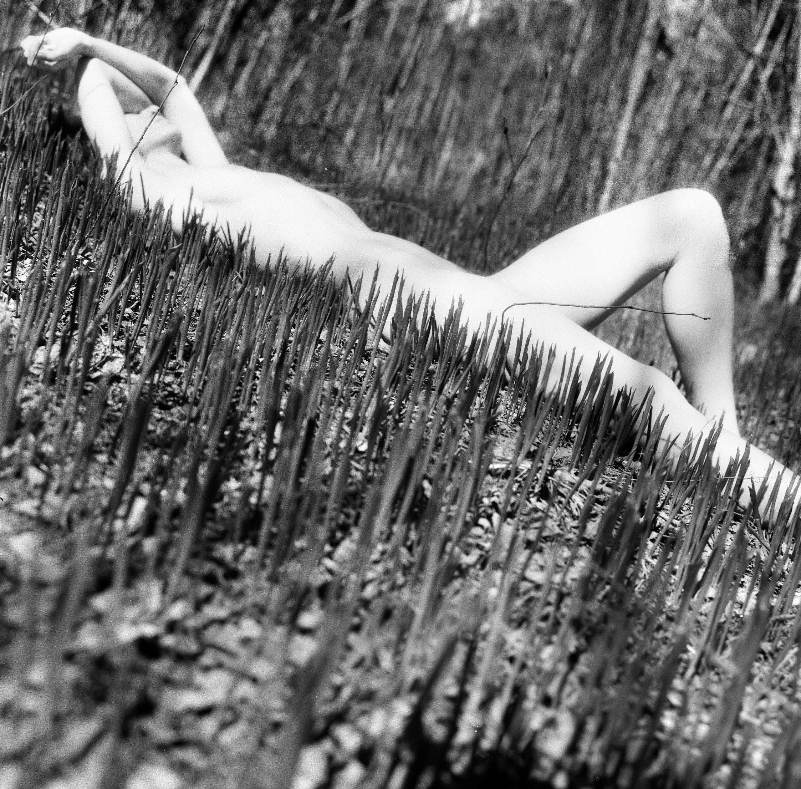 Иконическое. Избранное. Бесценное. Punctum