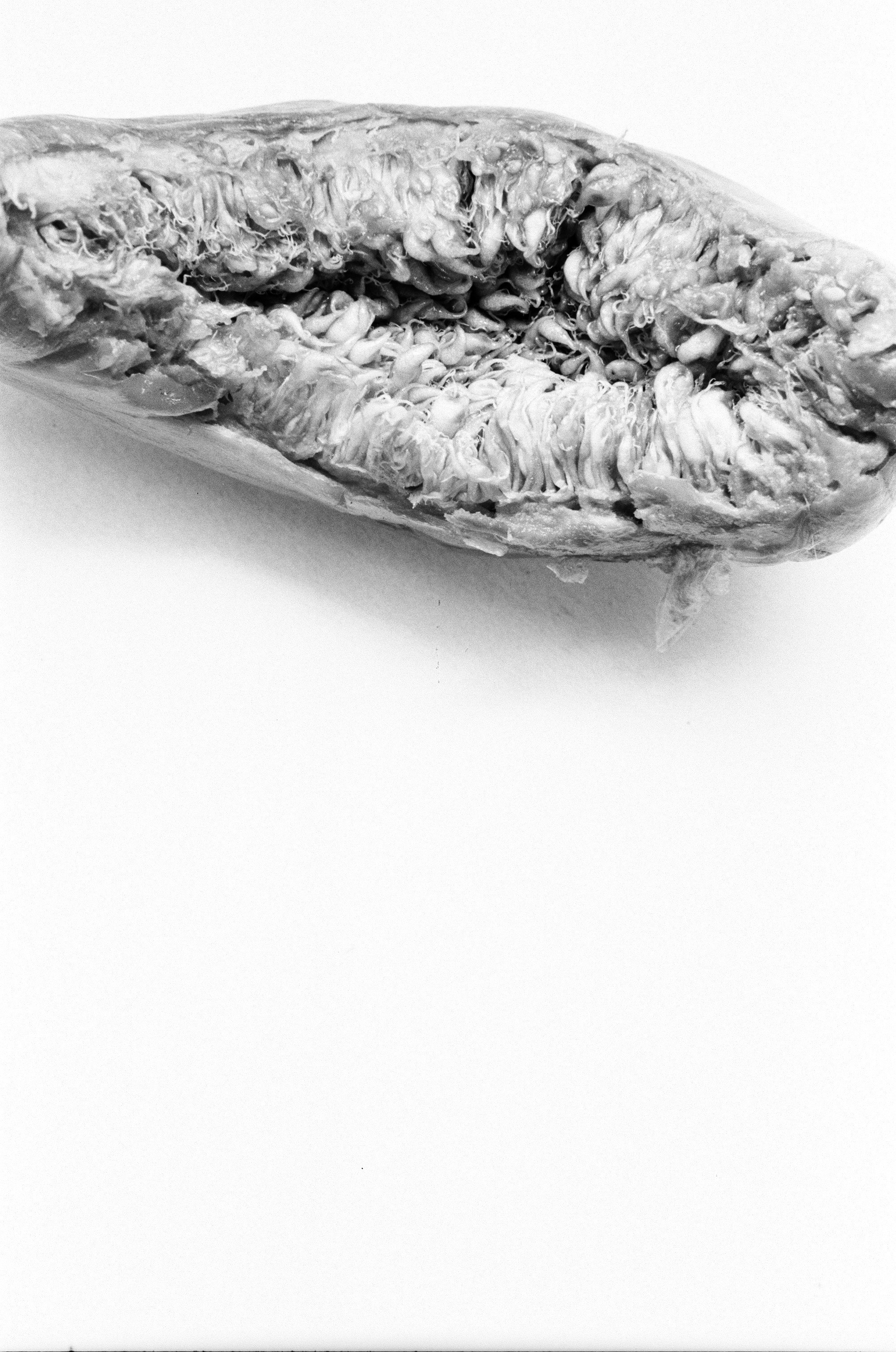 Иконическое. Избранное. Бесценное. Punctum
