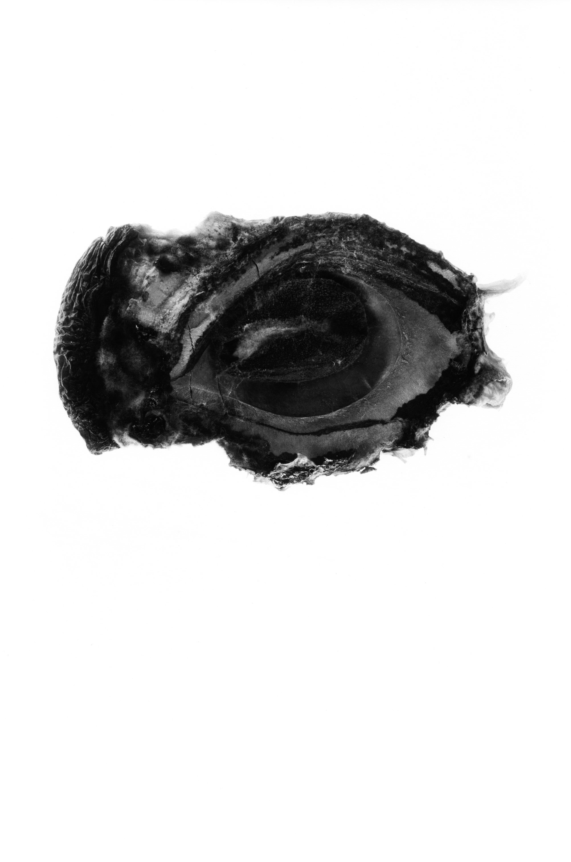 Иконическое. Избранное. Бесценное. Punctum
