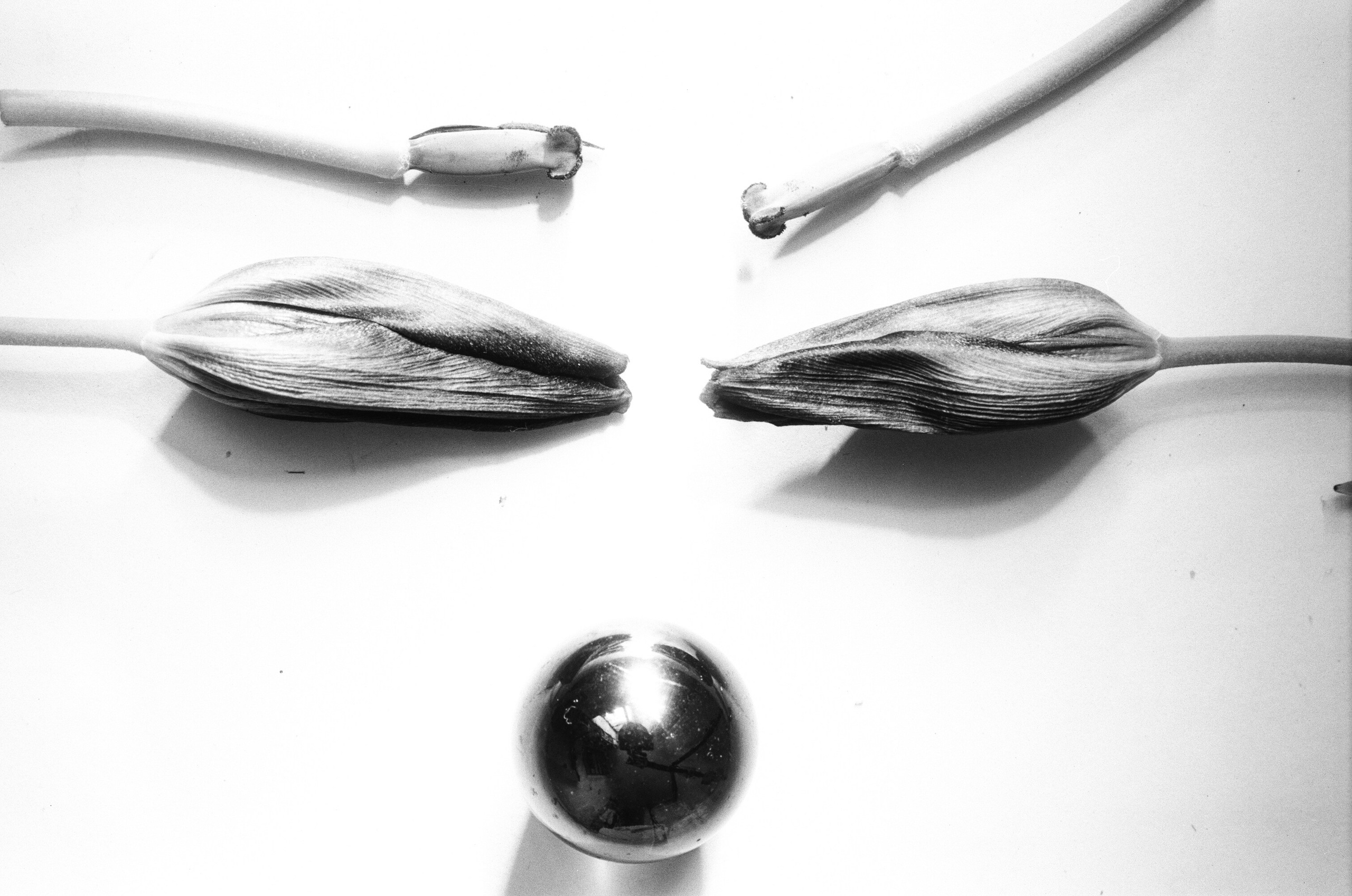 Иконическое. Избранное. Бесценное. Punctum