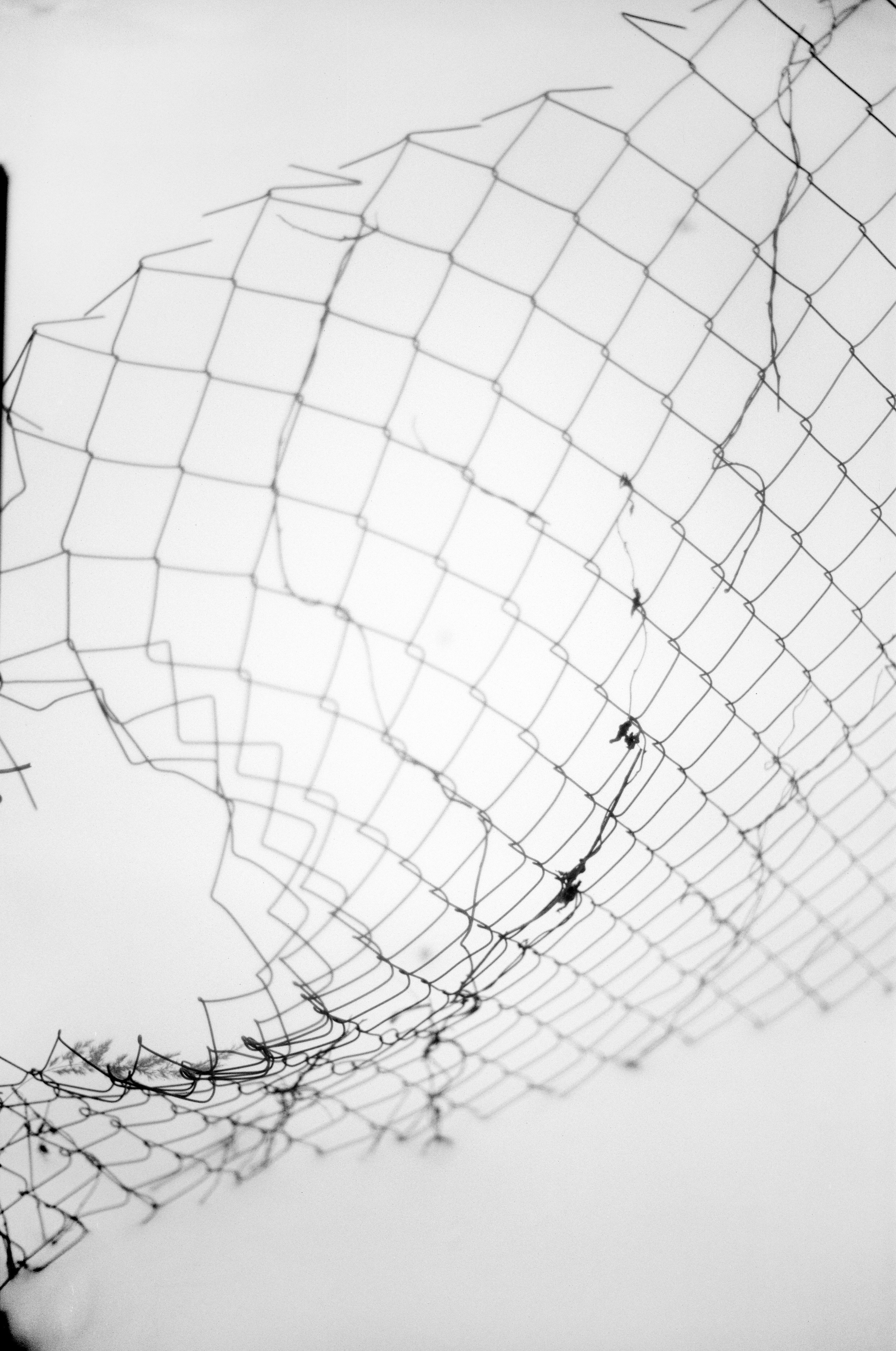 Иконическое. Избранное. Бесценное. Punctum