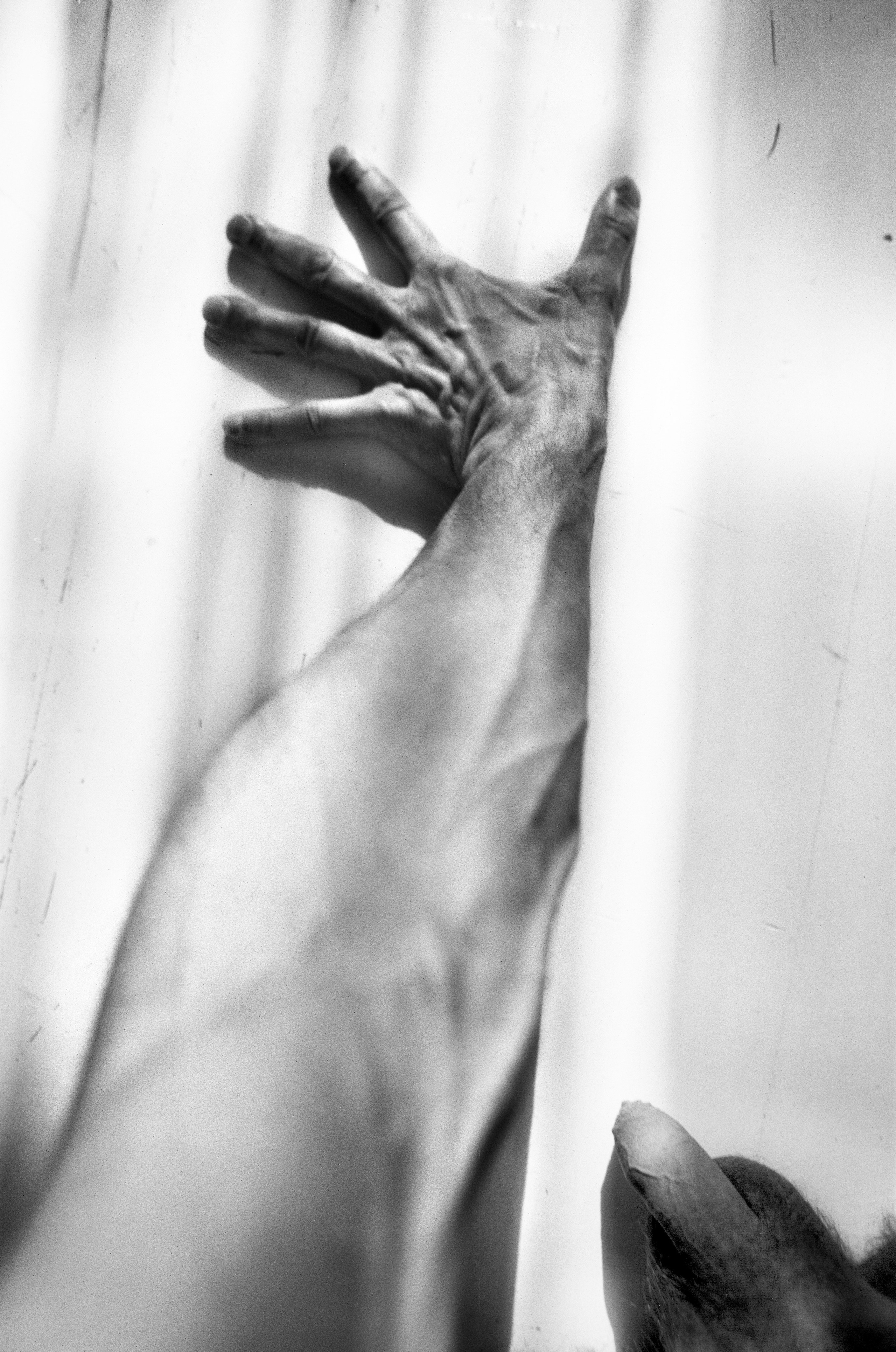 Иконическое. Избранное. Бесценное. Punctum