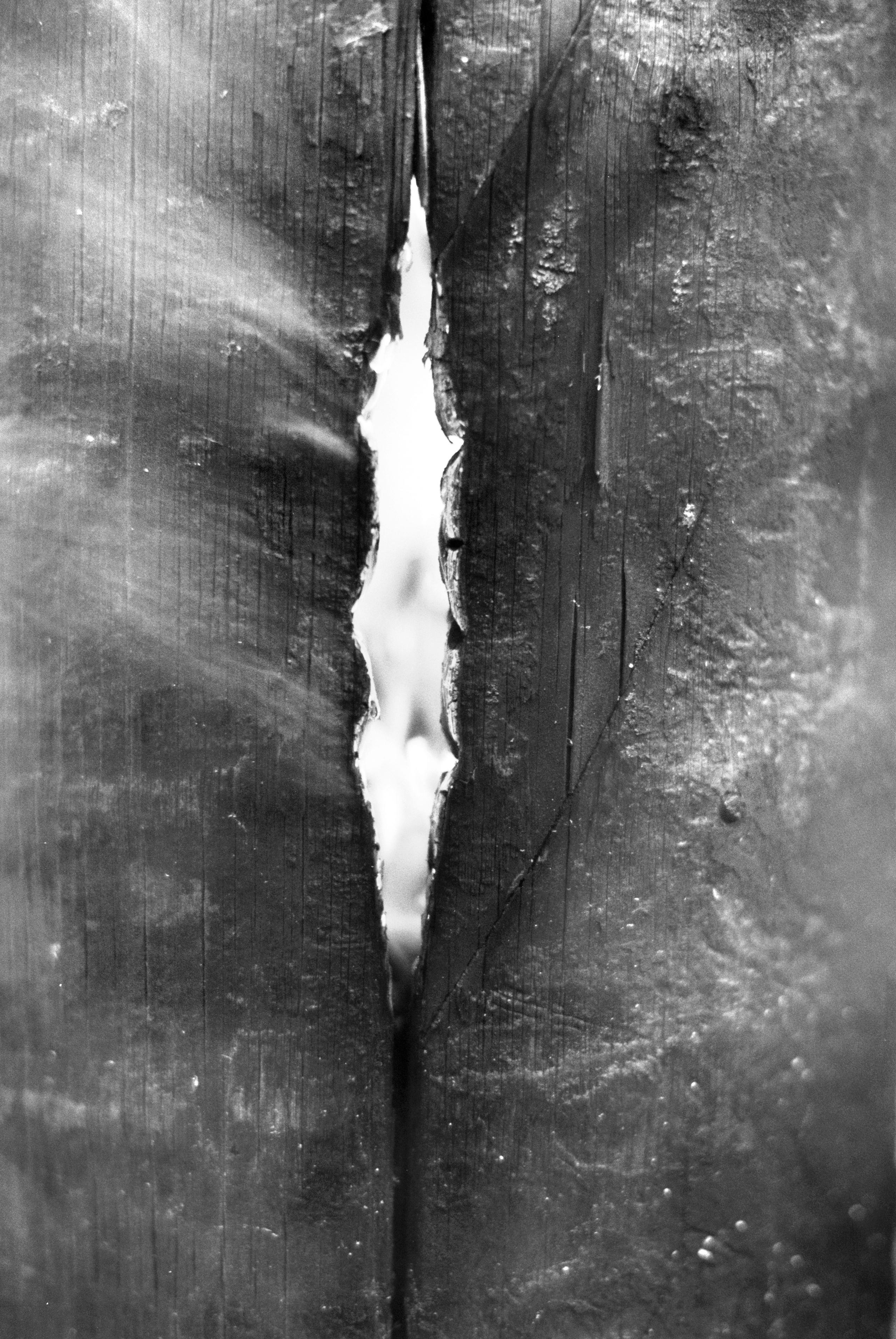 Иконическое. Избранное. Бесценное. Punctum