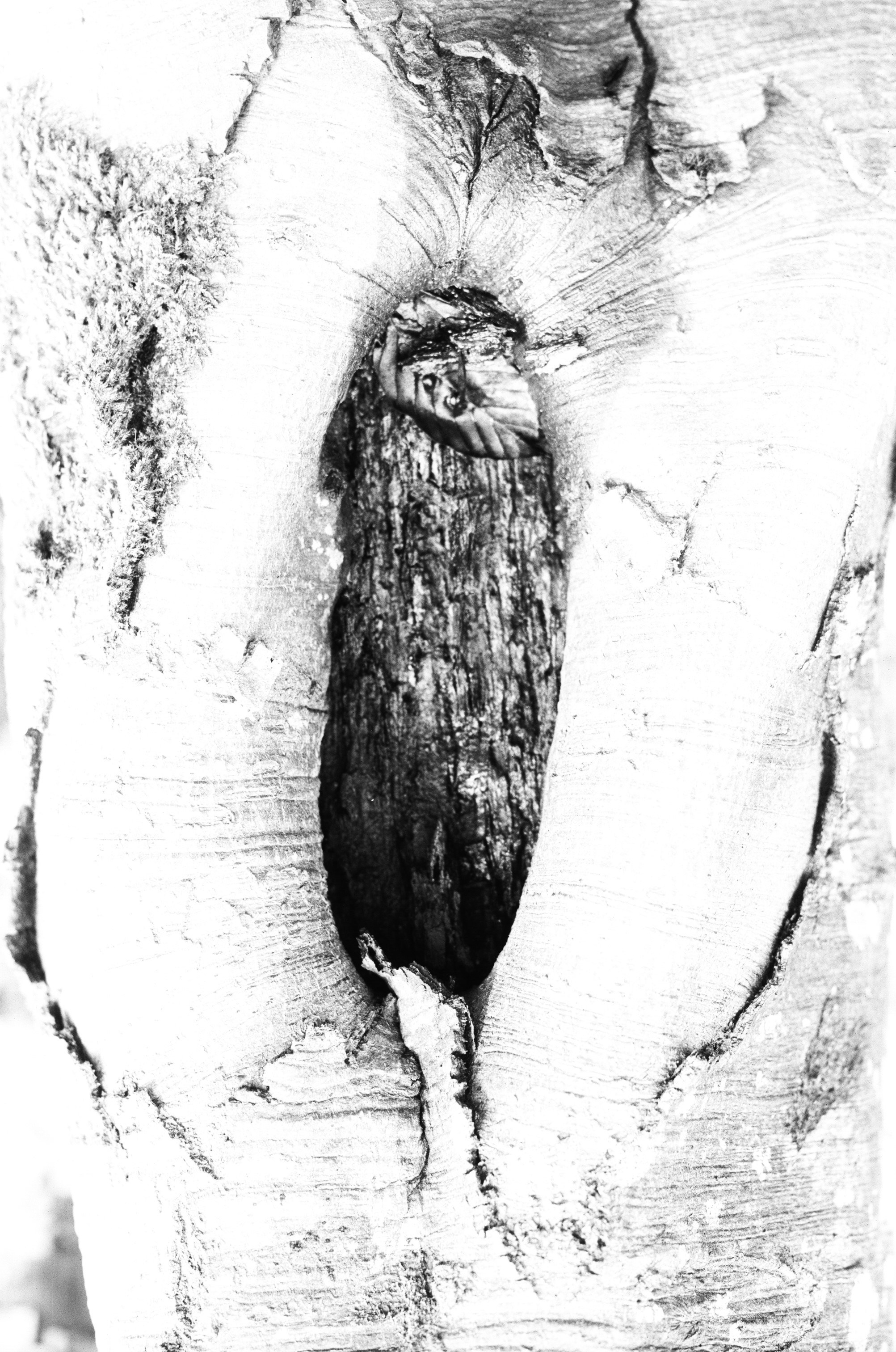 Иконическое. Избранное. Бесценное. Punctum