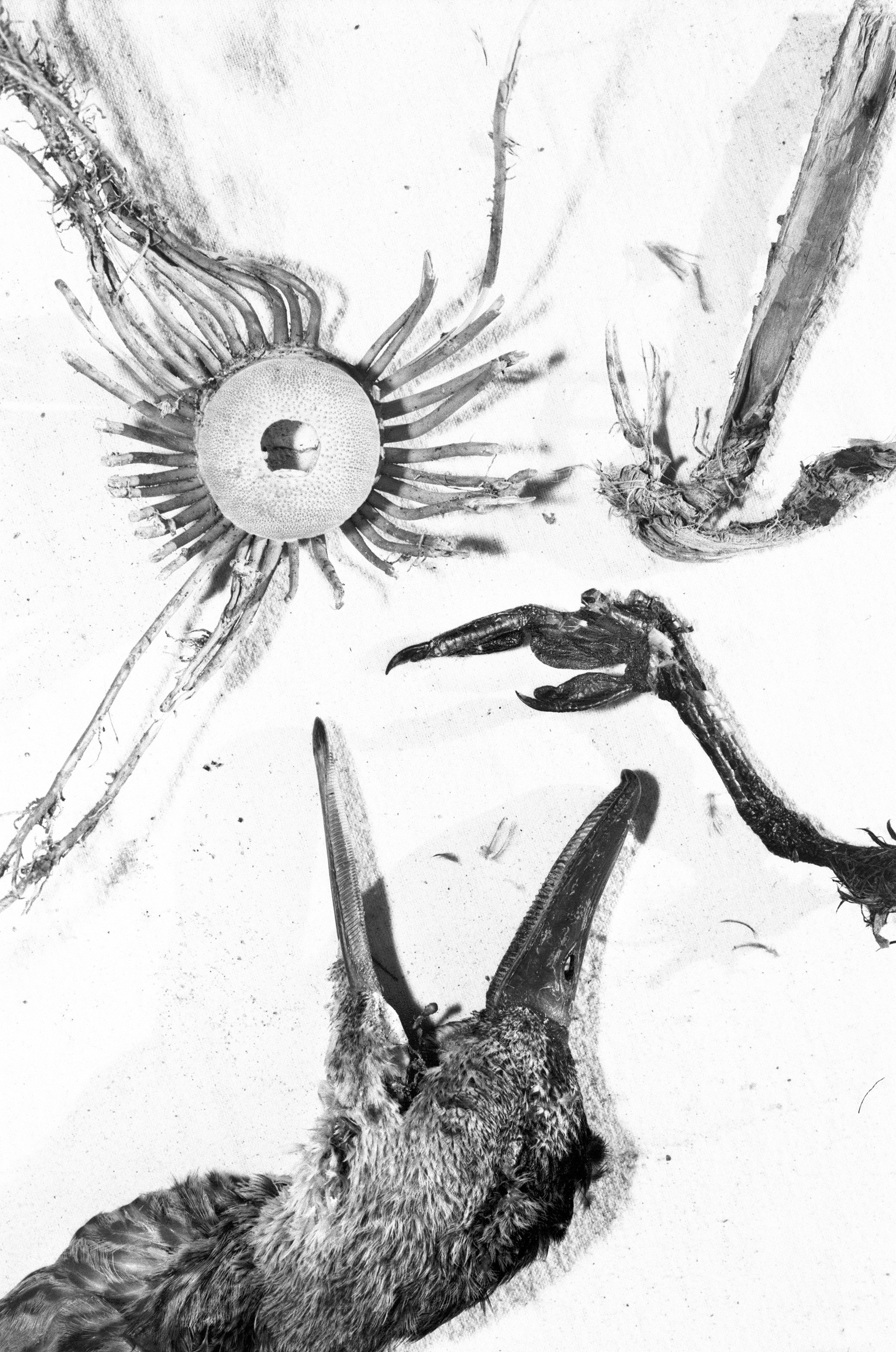 Иконическое. Избранное. Бесценное. Punctum