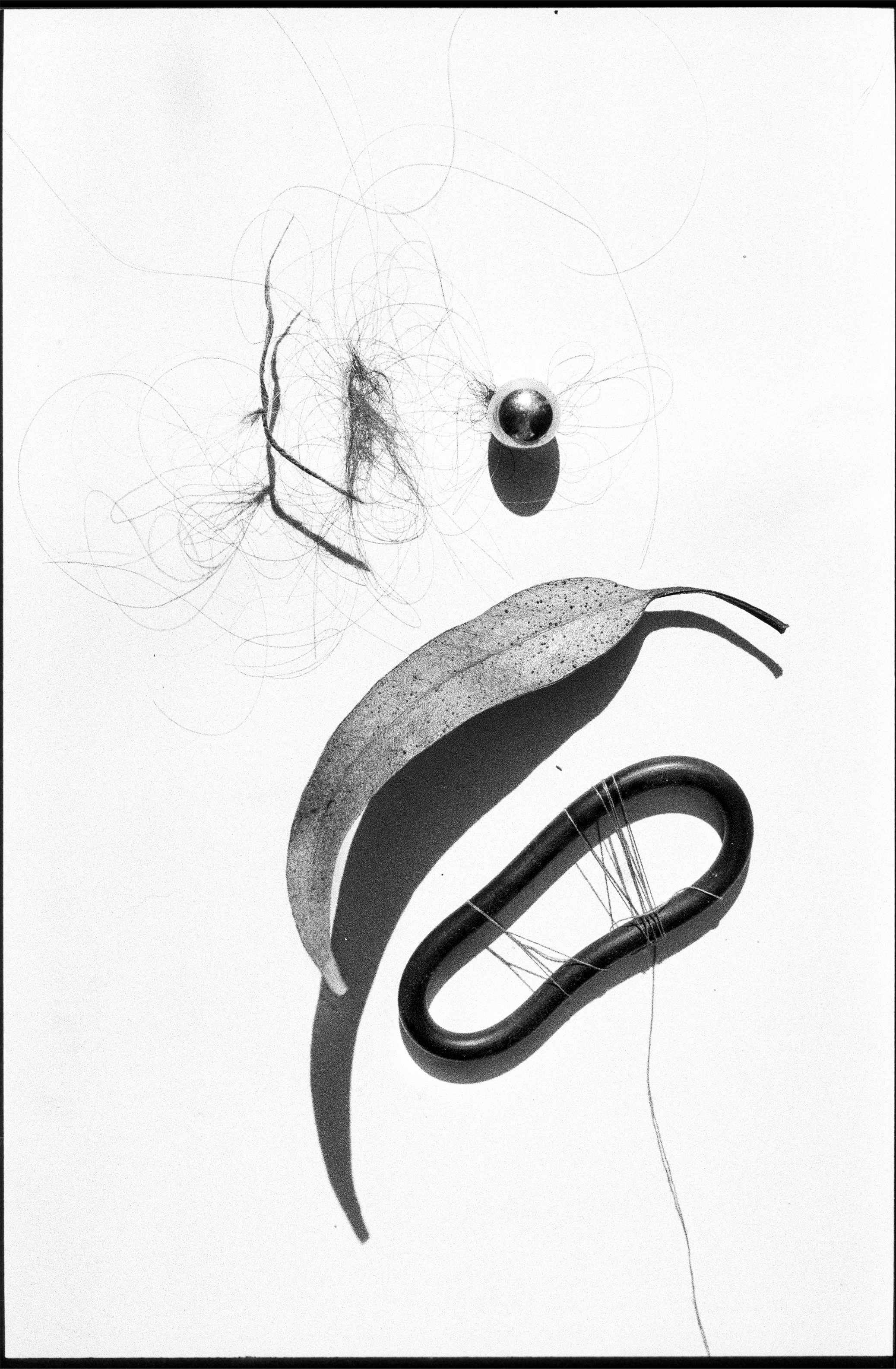 Иконическое. Избранное. Бесценное. Punctum