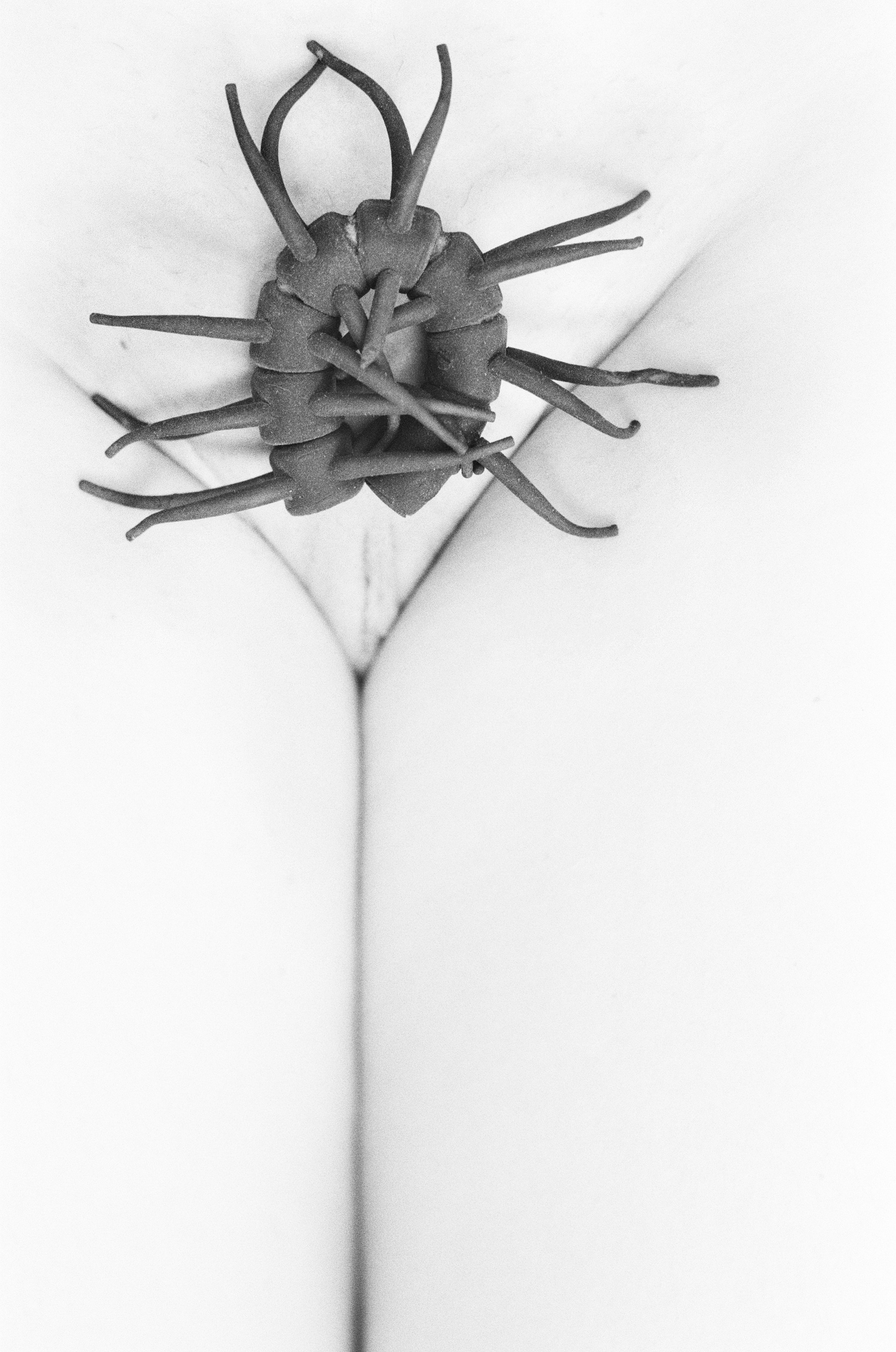 Иконическое. Избранное. Бесценное. Punctum