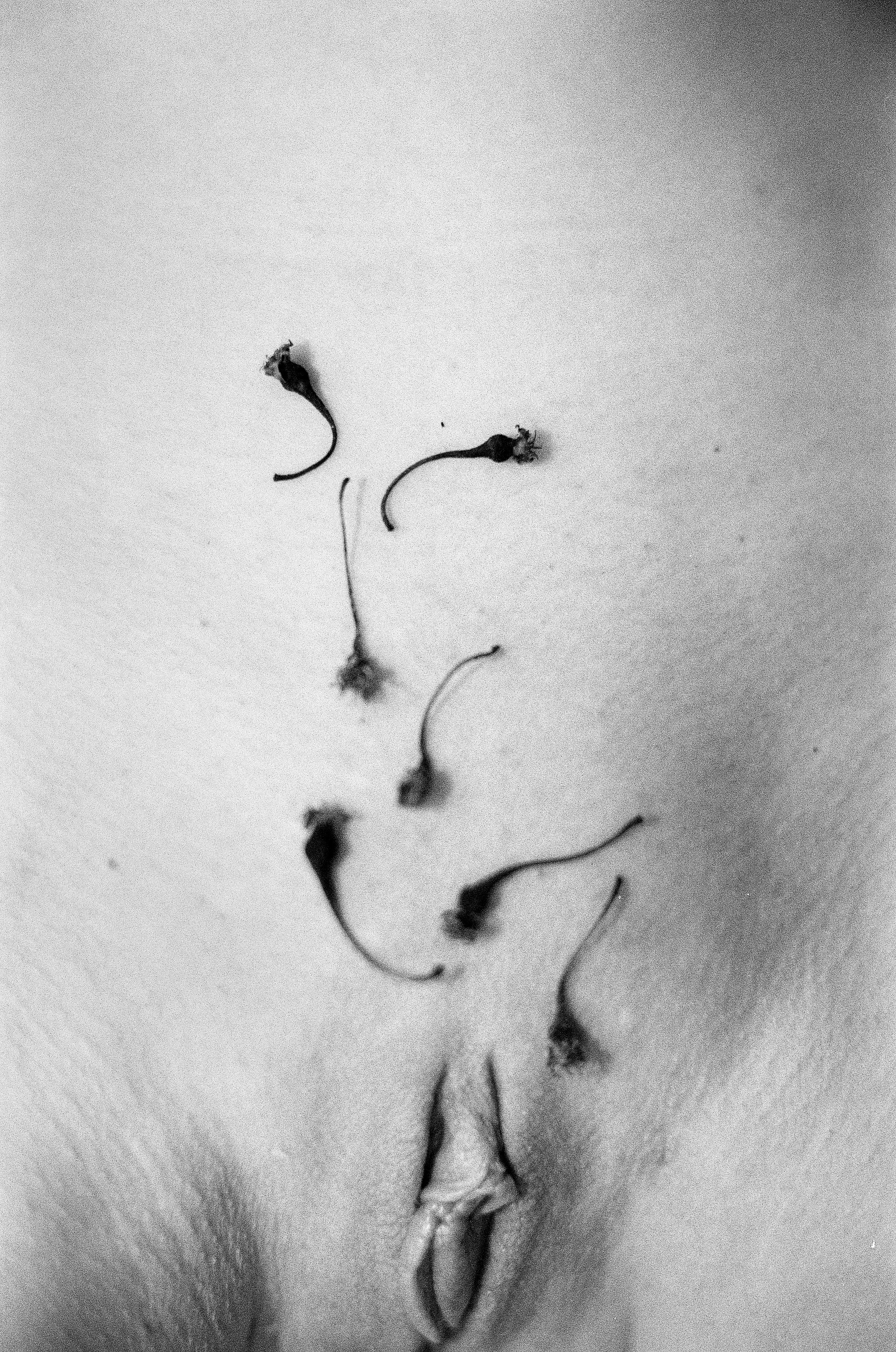 Иконическое. Избранное. Бесценное. Punctum