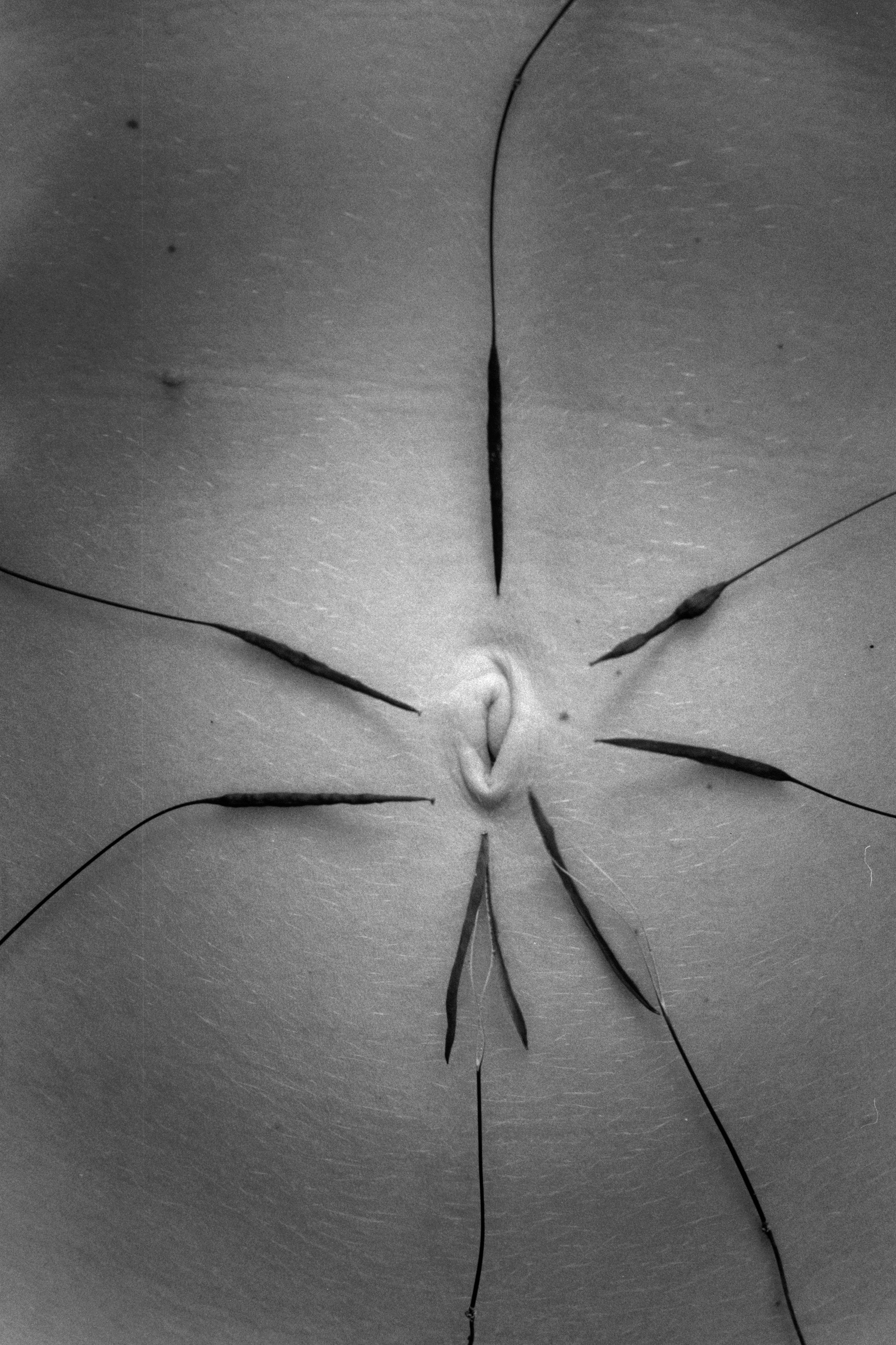Иконическое. Избранное. Бесценное. Punctum