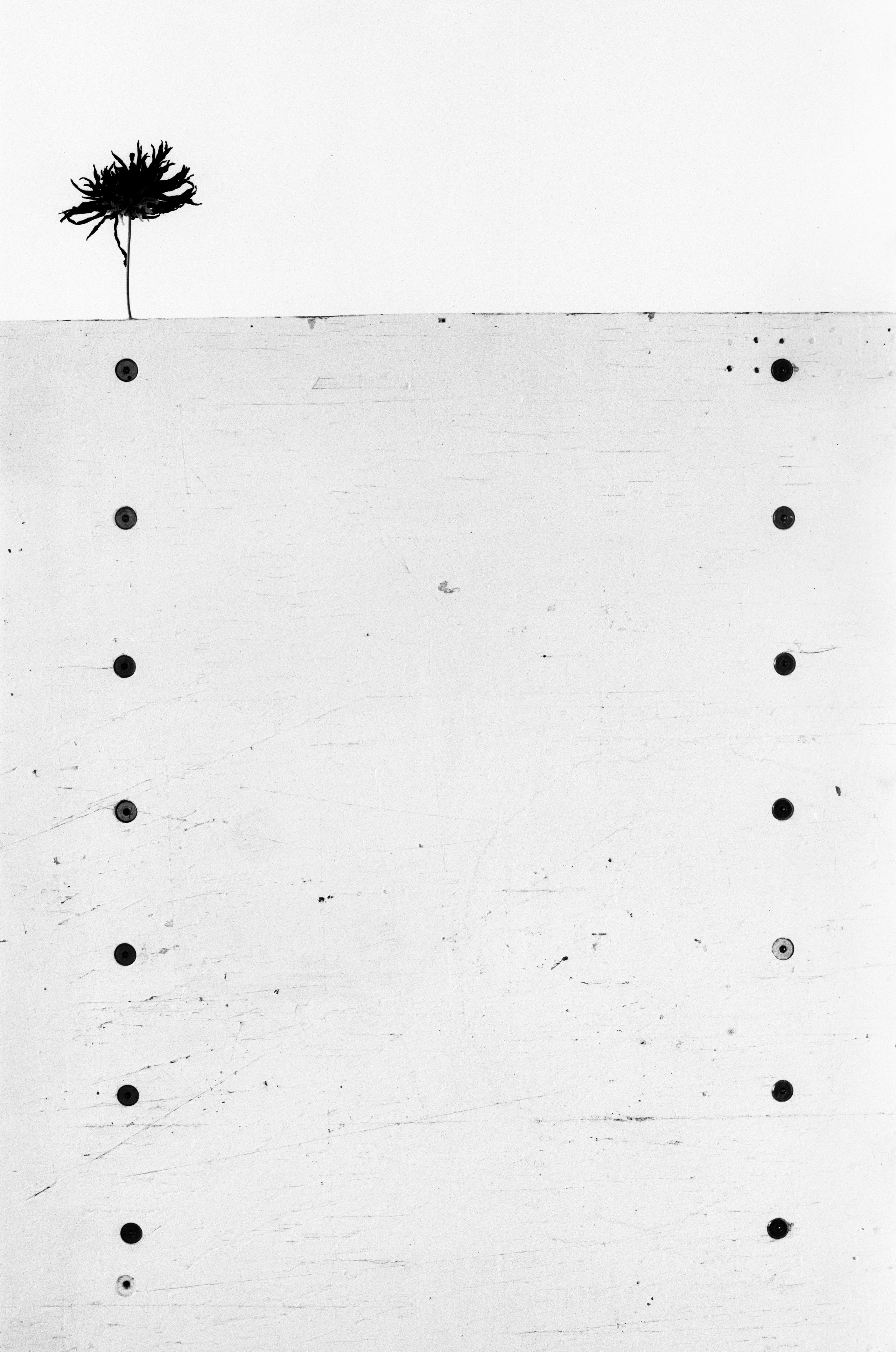 Иконическое. Избранное. Бесценное. Punctum