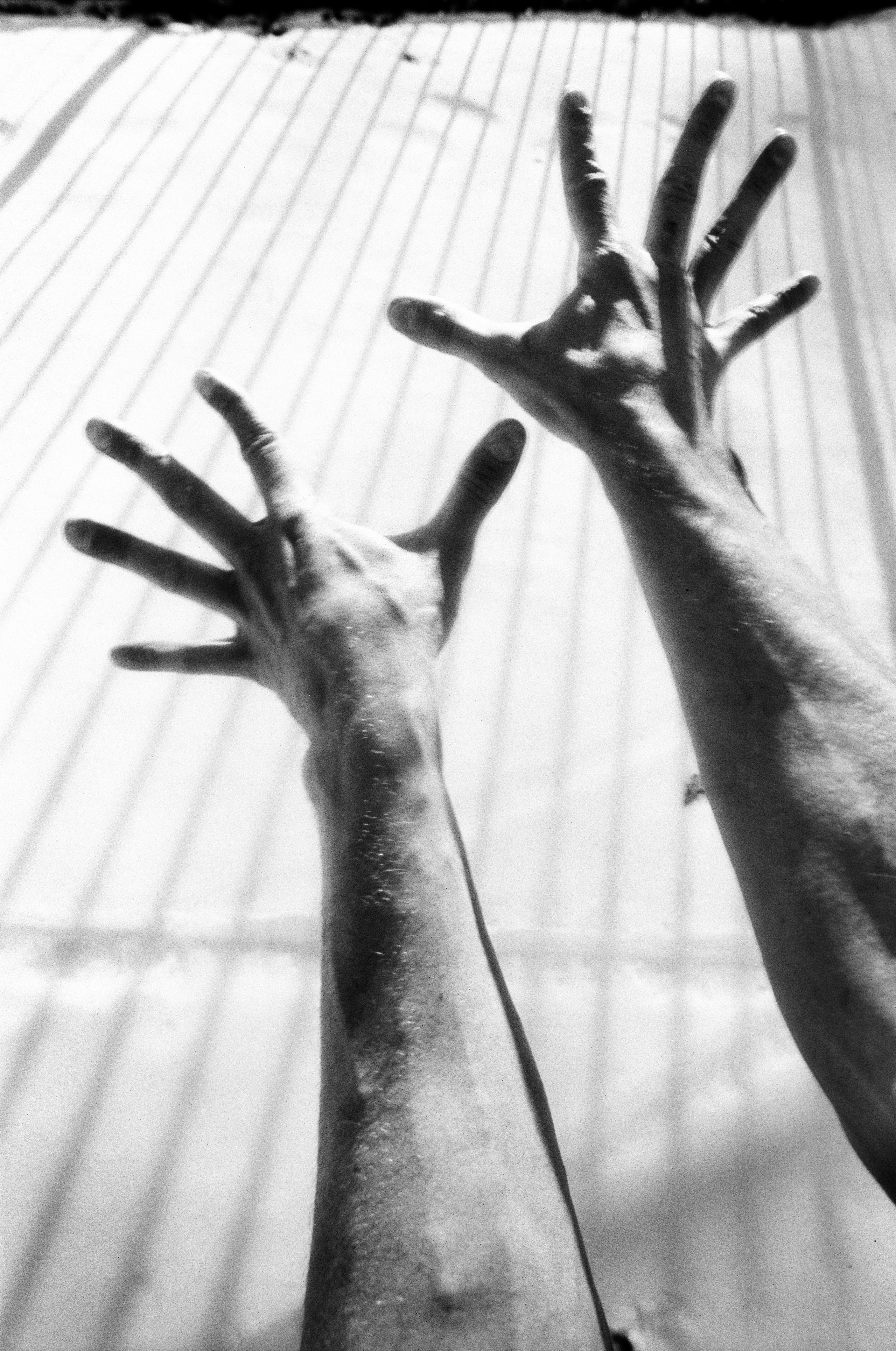 Иконическое. Избранное. Бесценное. Punctum
