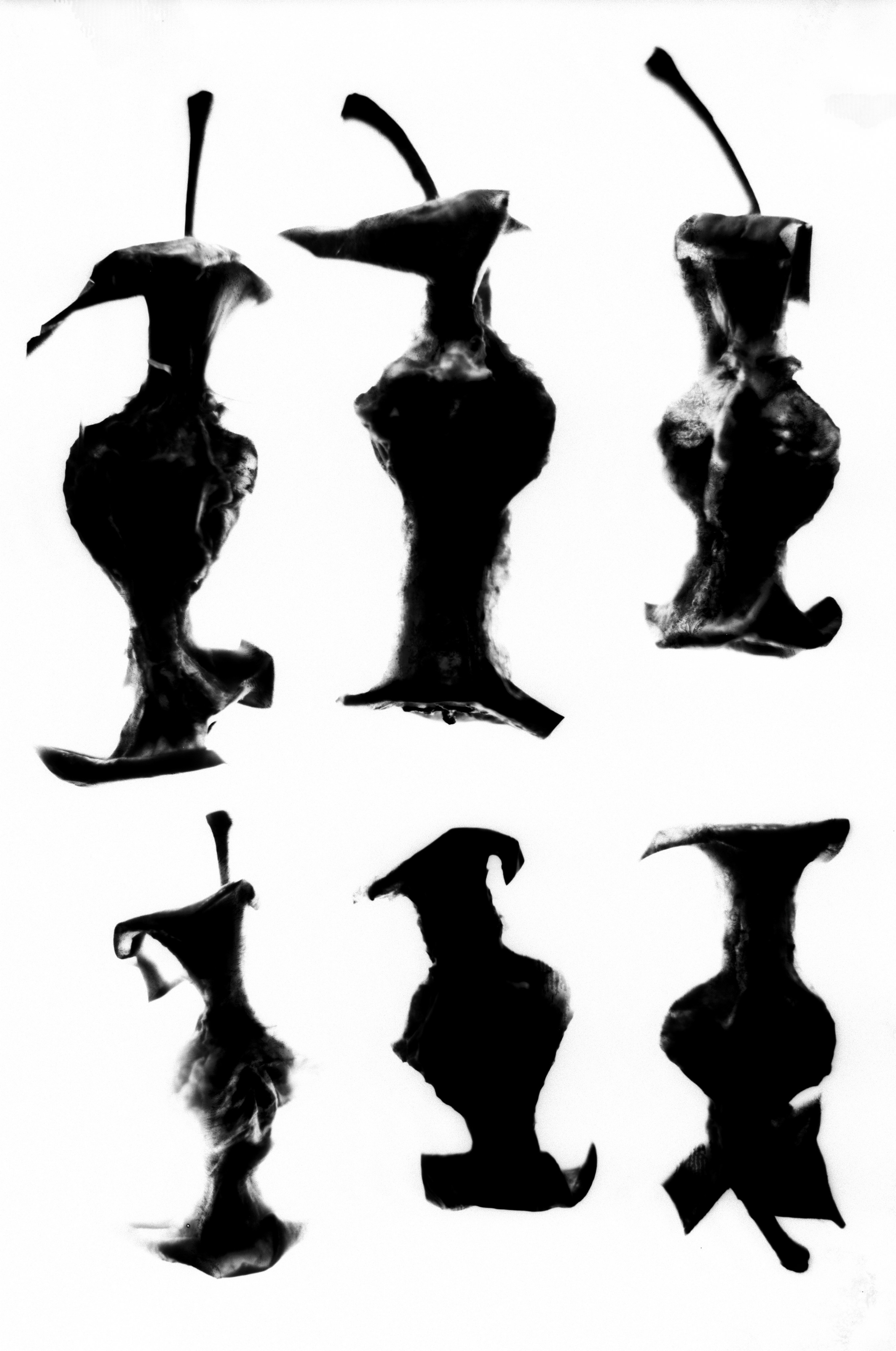 Иконическое. Избранное. Бесценное. Punctum