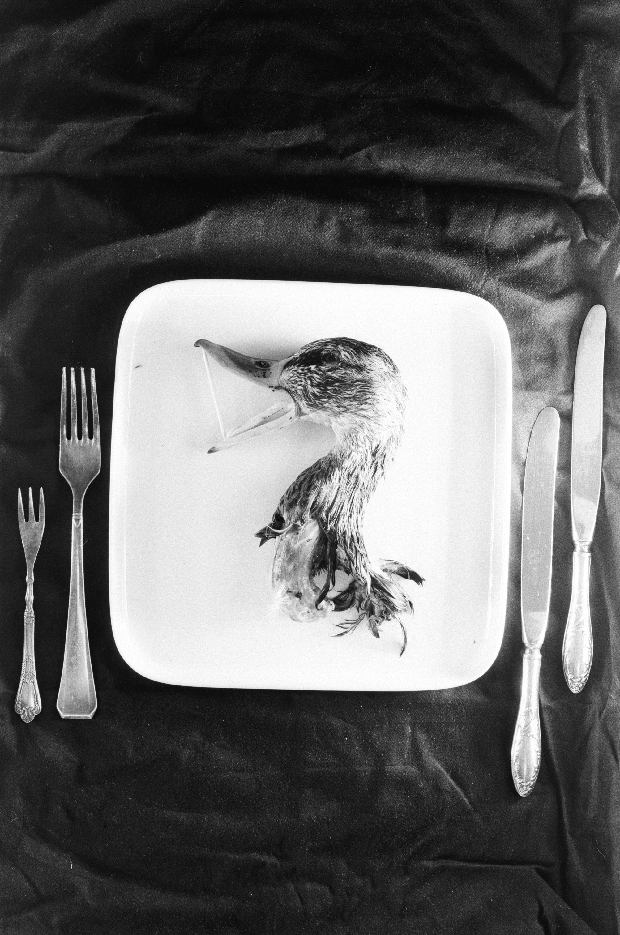 Иконическое. Избранное. Бесценное. Punctum