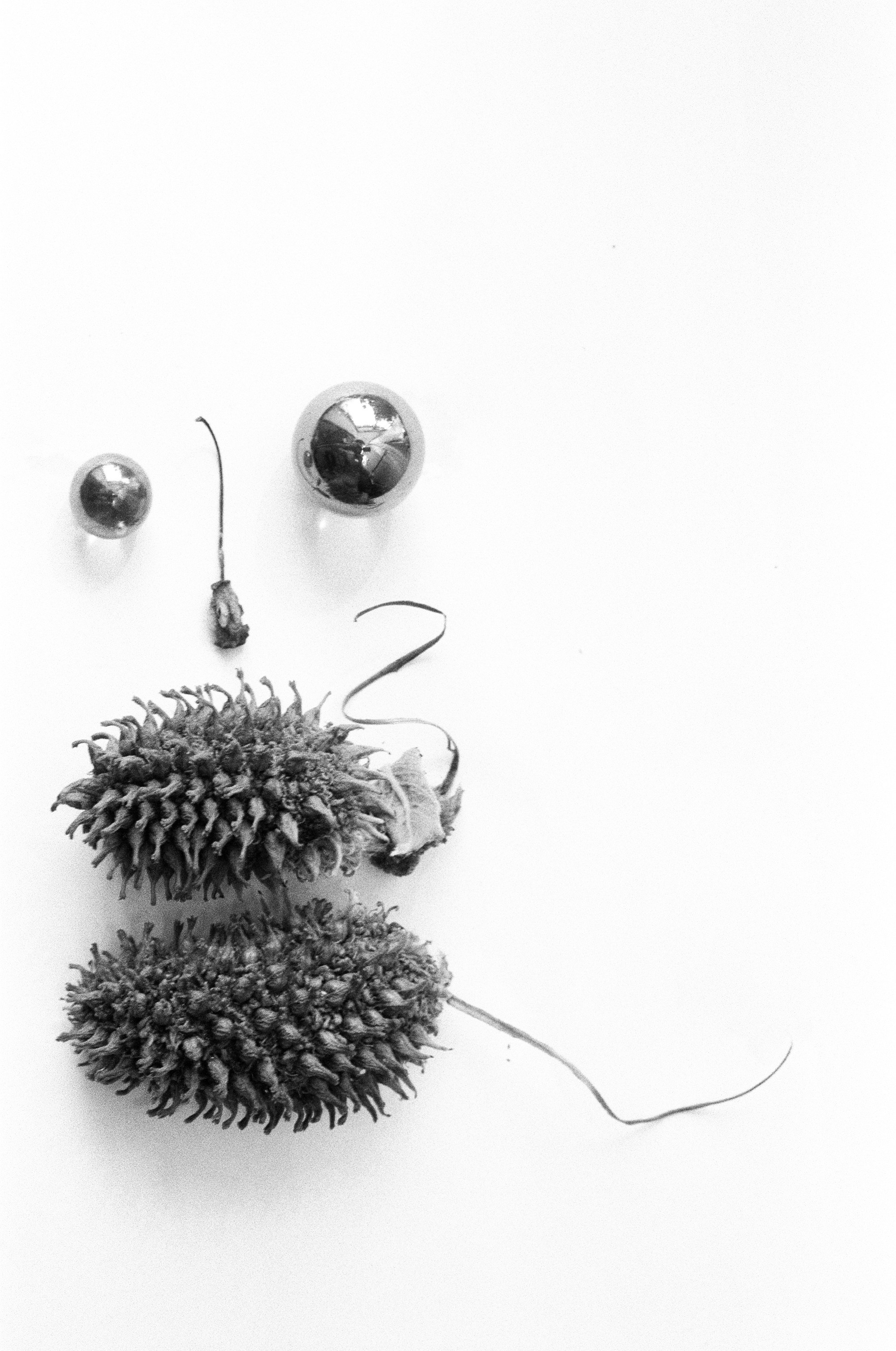 Иконическое. Избранное. Бесценное. Punctum
