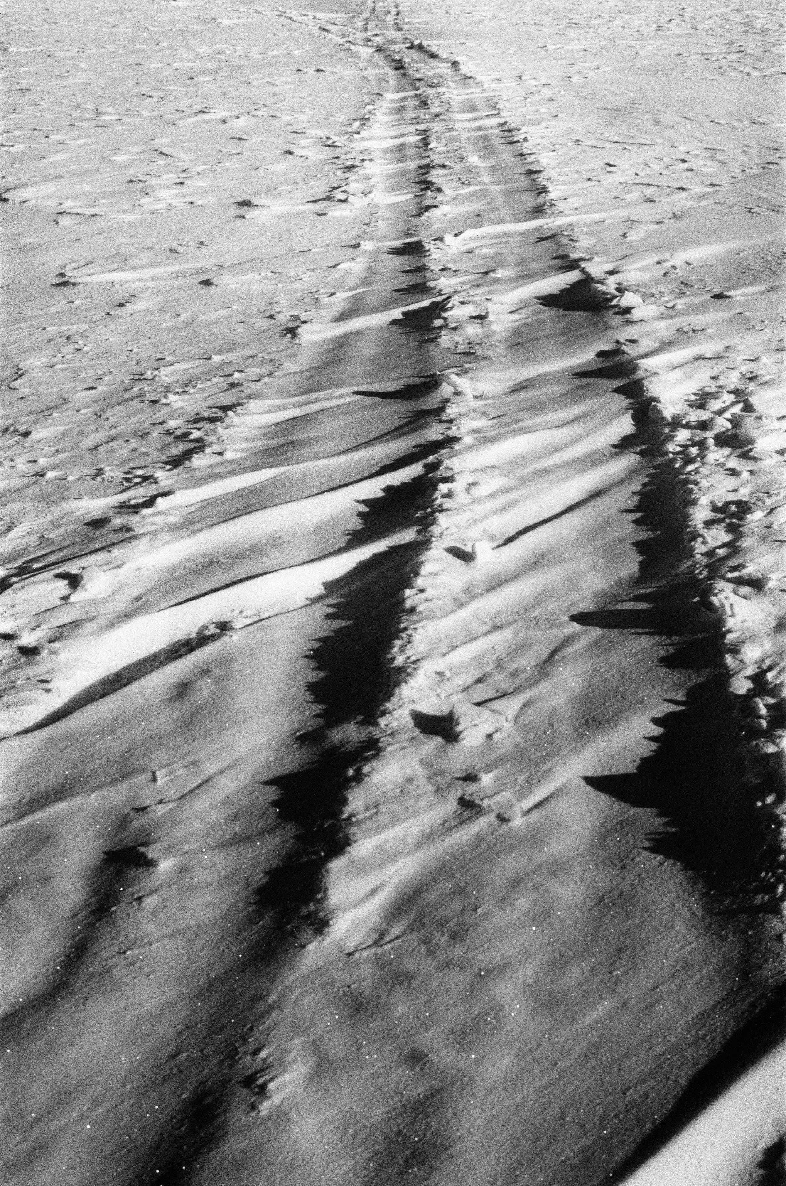 Иконическое. Избранное. Бесценное. Punctum
