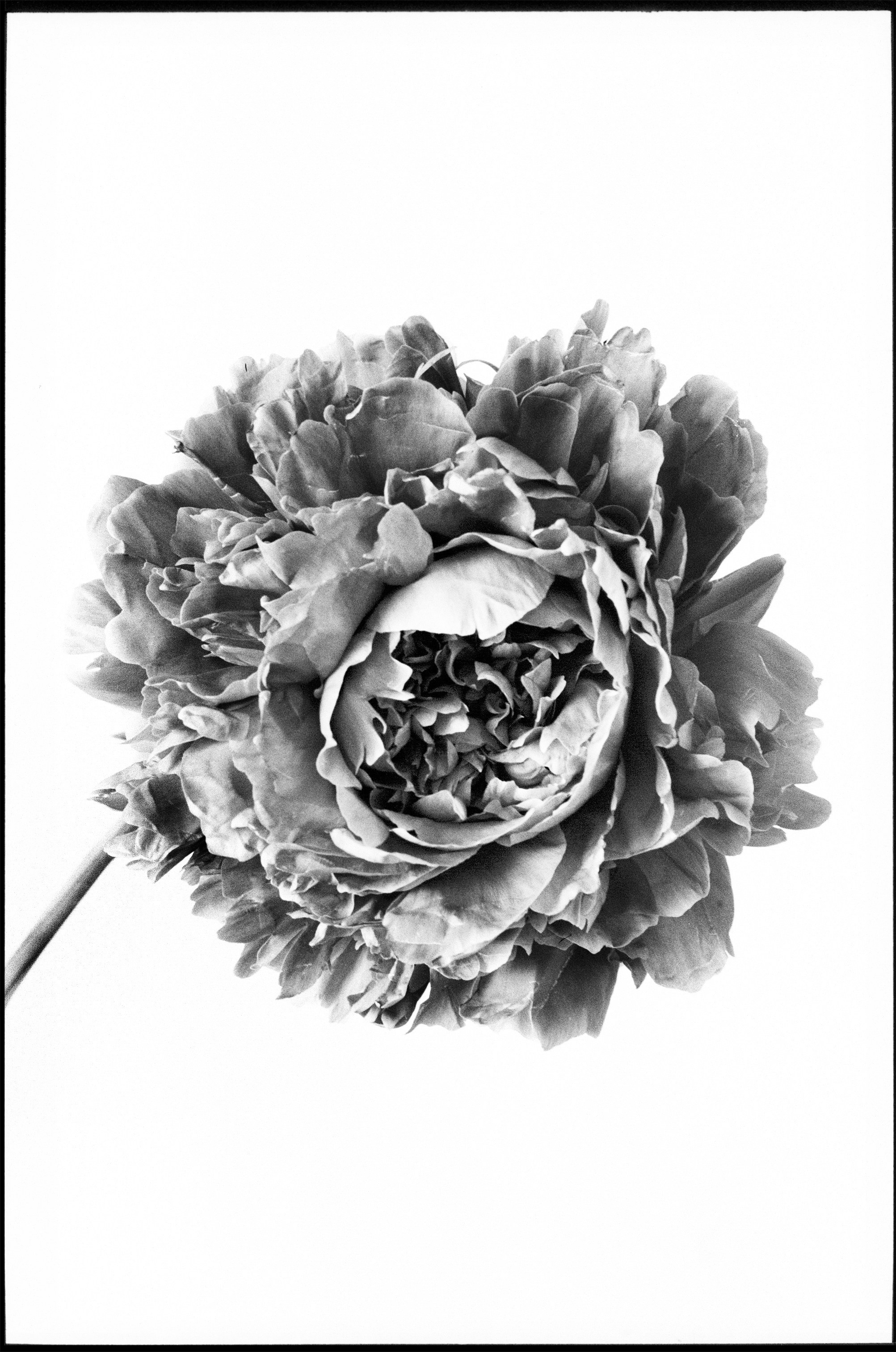 Иконическое. Избранное. Бесценное. Punctum