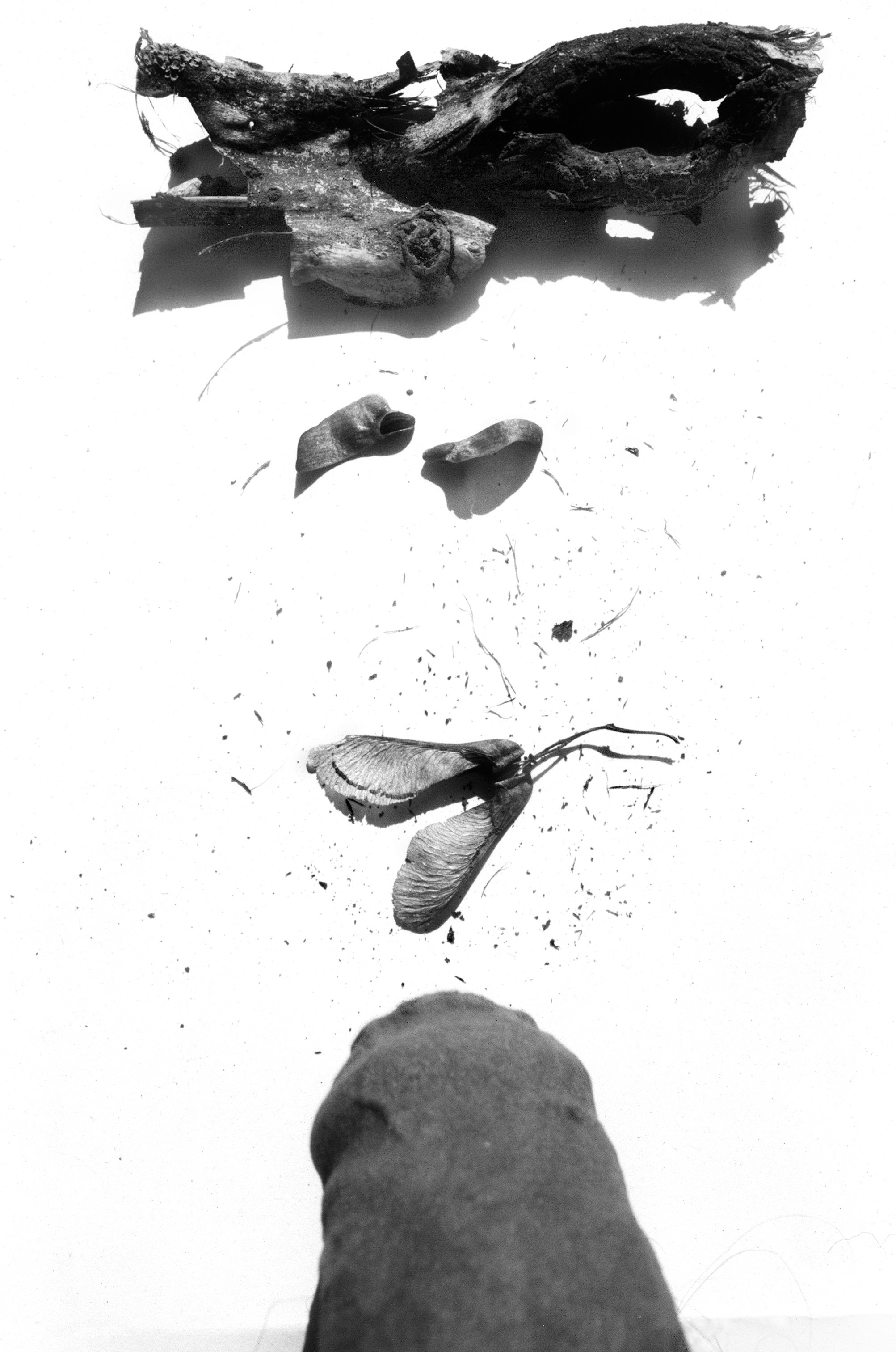 Иконическое. Избранное. Бесценное. Punctum