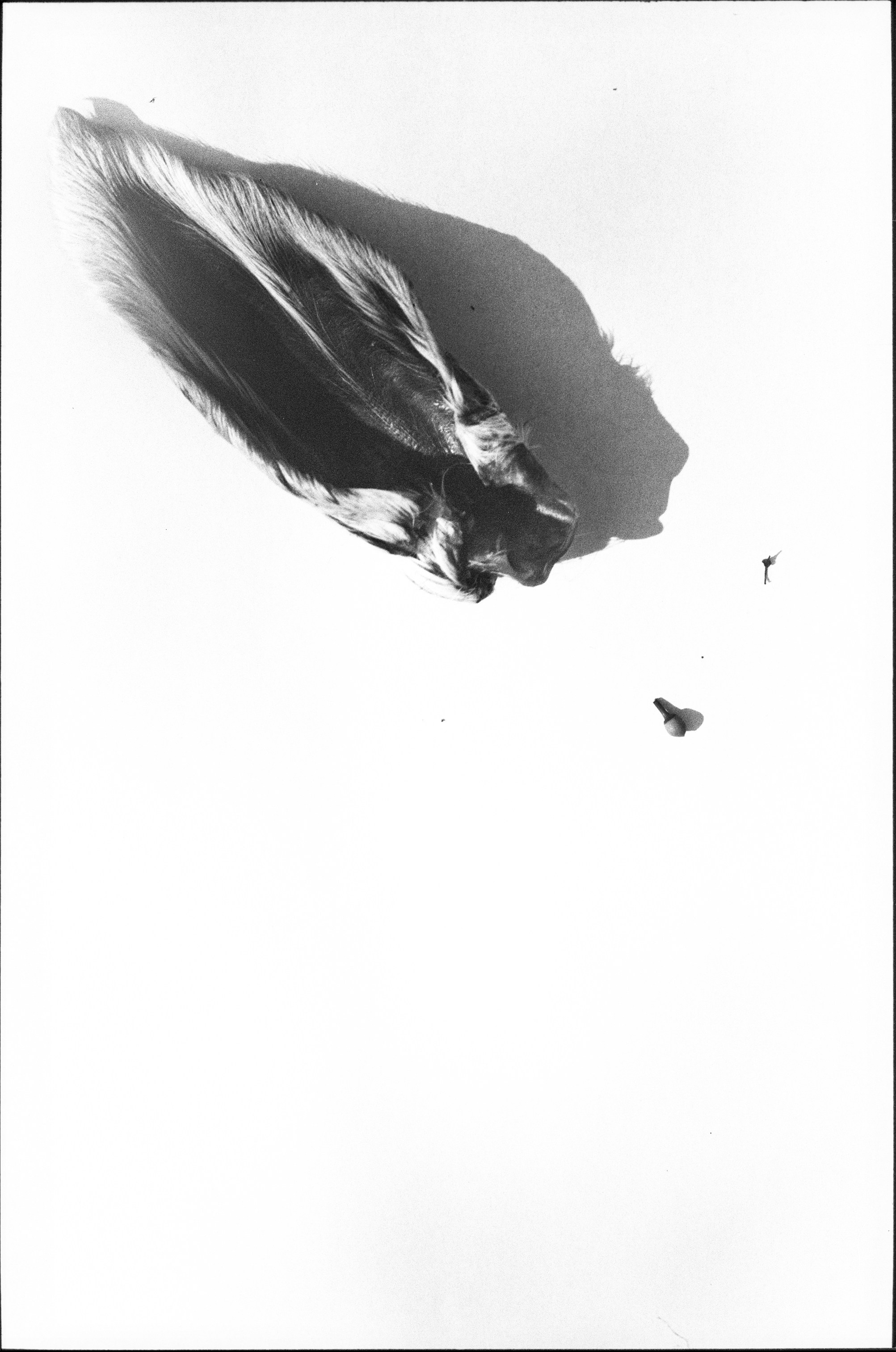 Иконическое. Избранное. Бесценное. Punctum