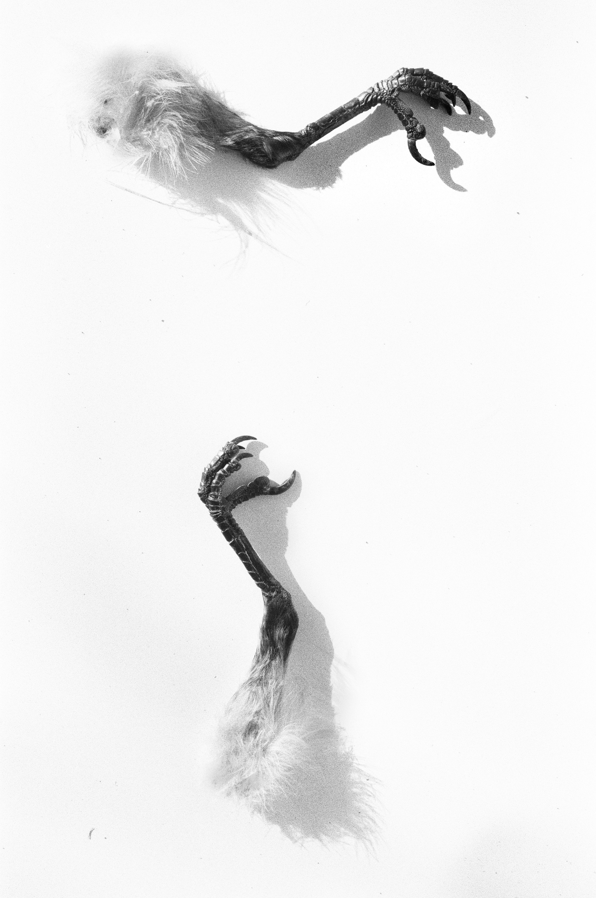 Иконическое. Избранное. Бесценное. Punctum