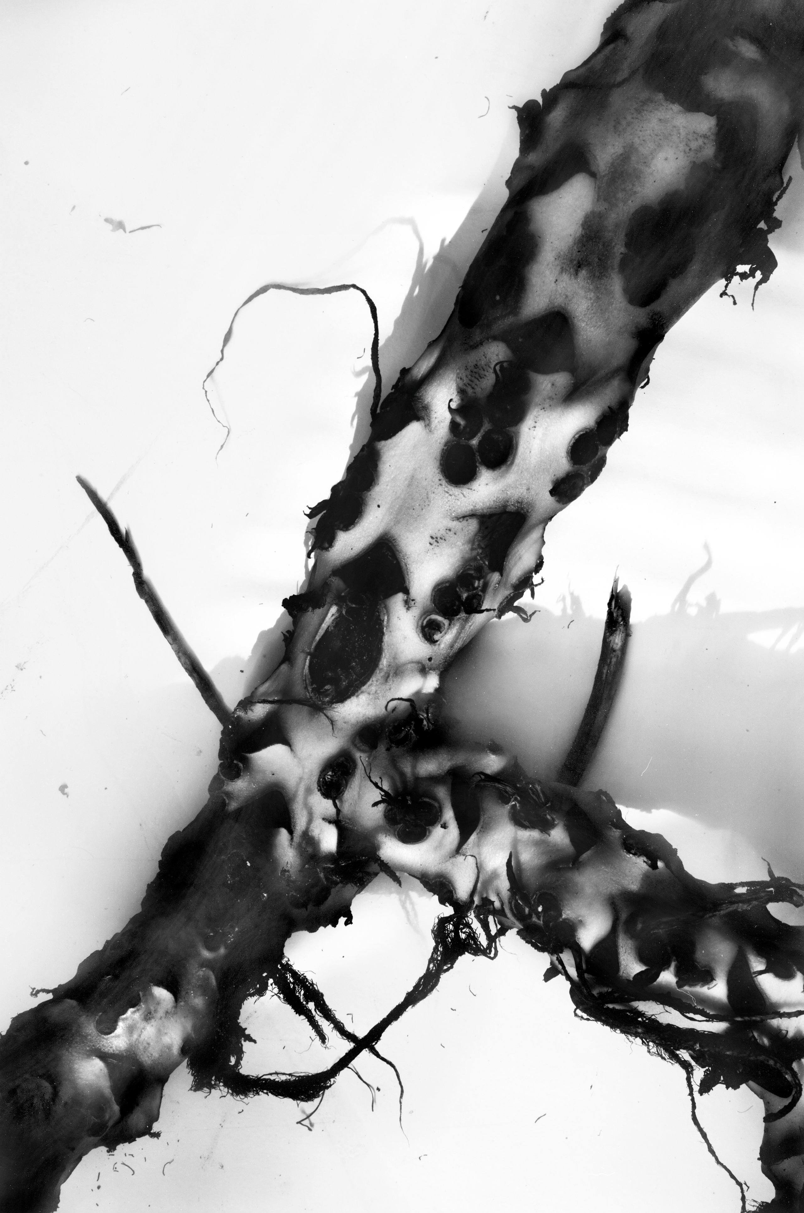 Иконическое. Избранное. Бесценное. Punctum